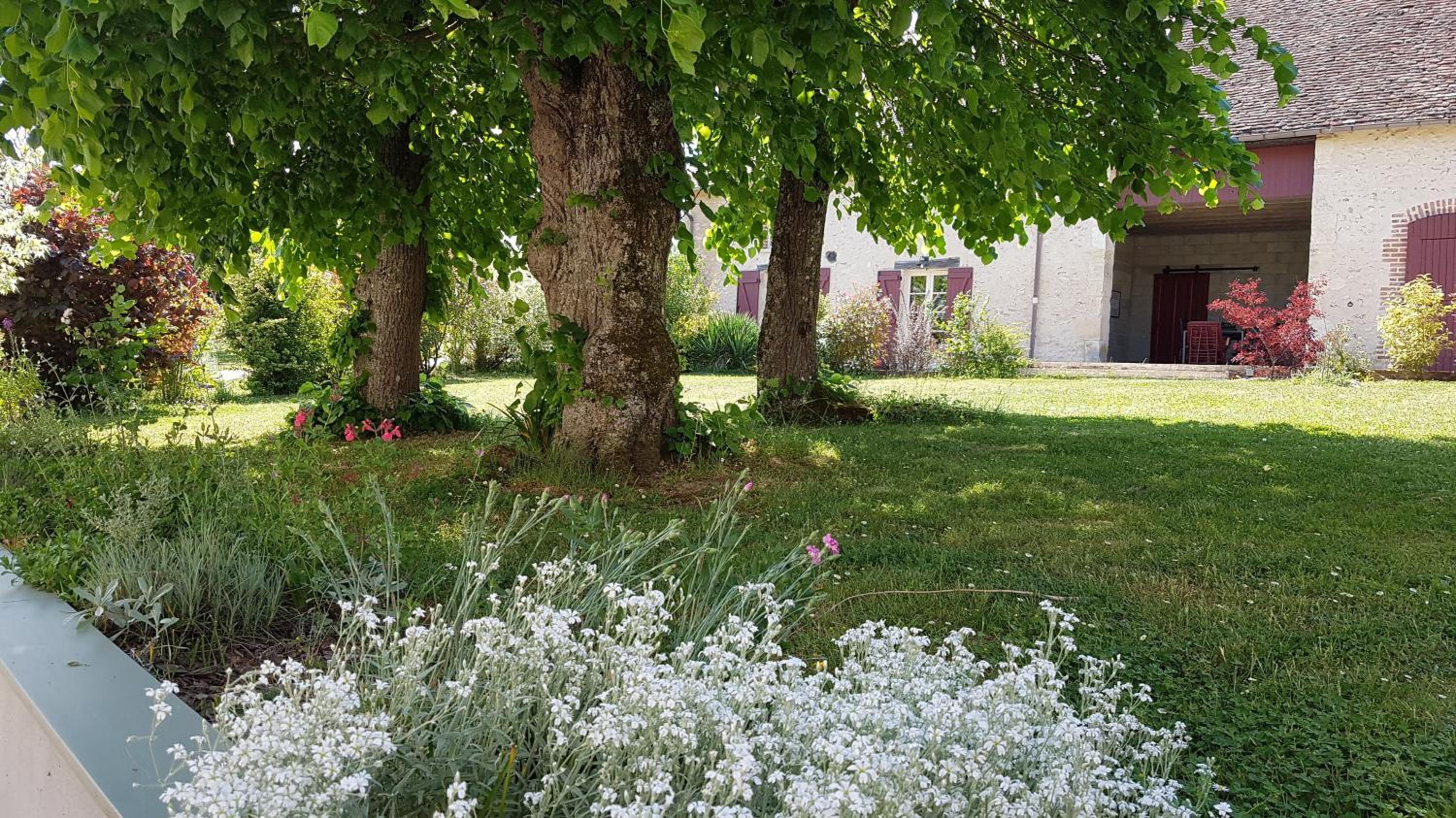 Photo 42