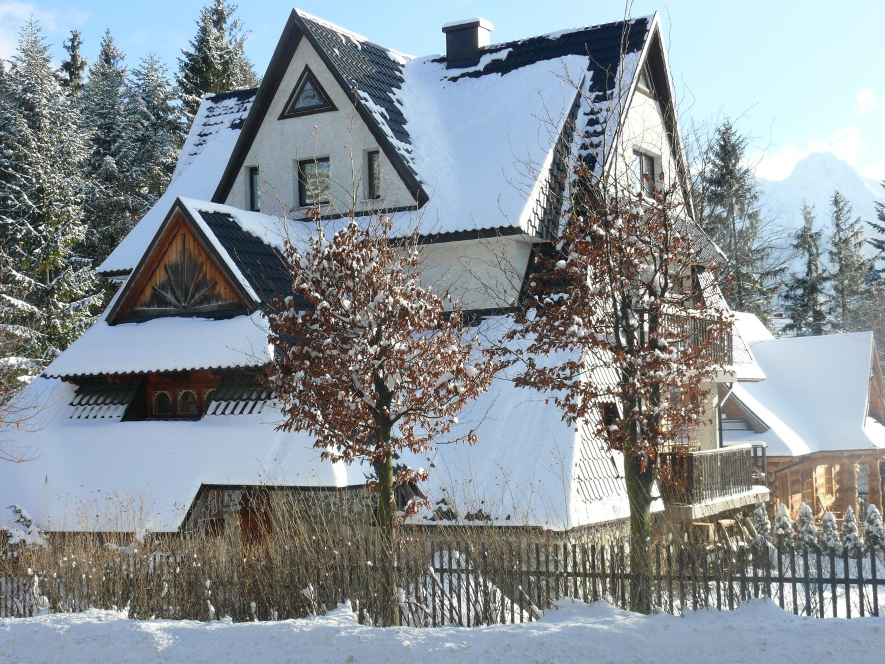Photo 7