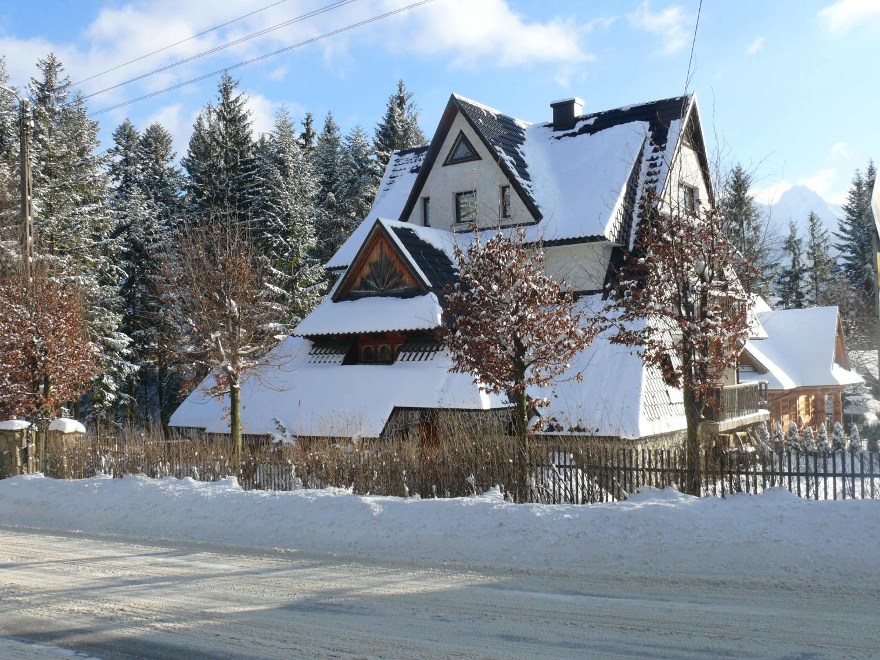 Photo 40