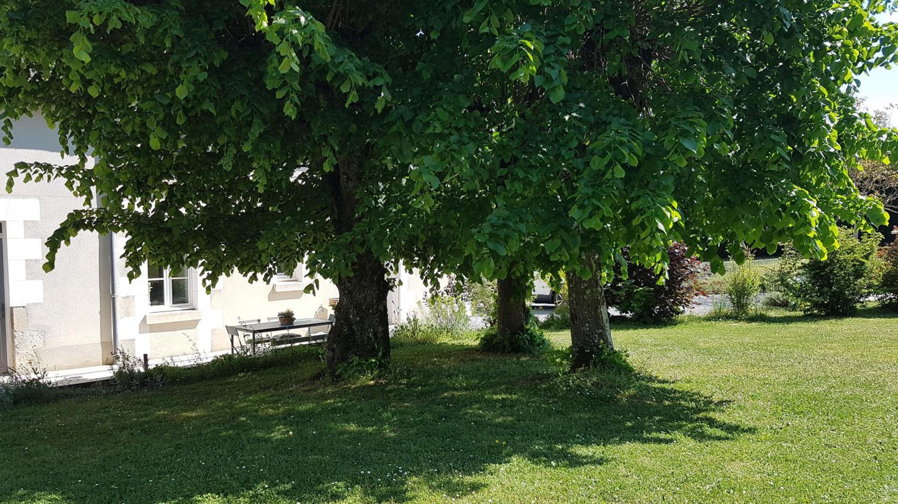 Photo 46