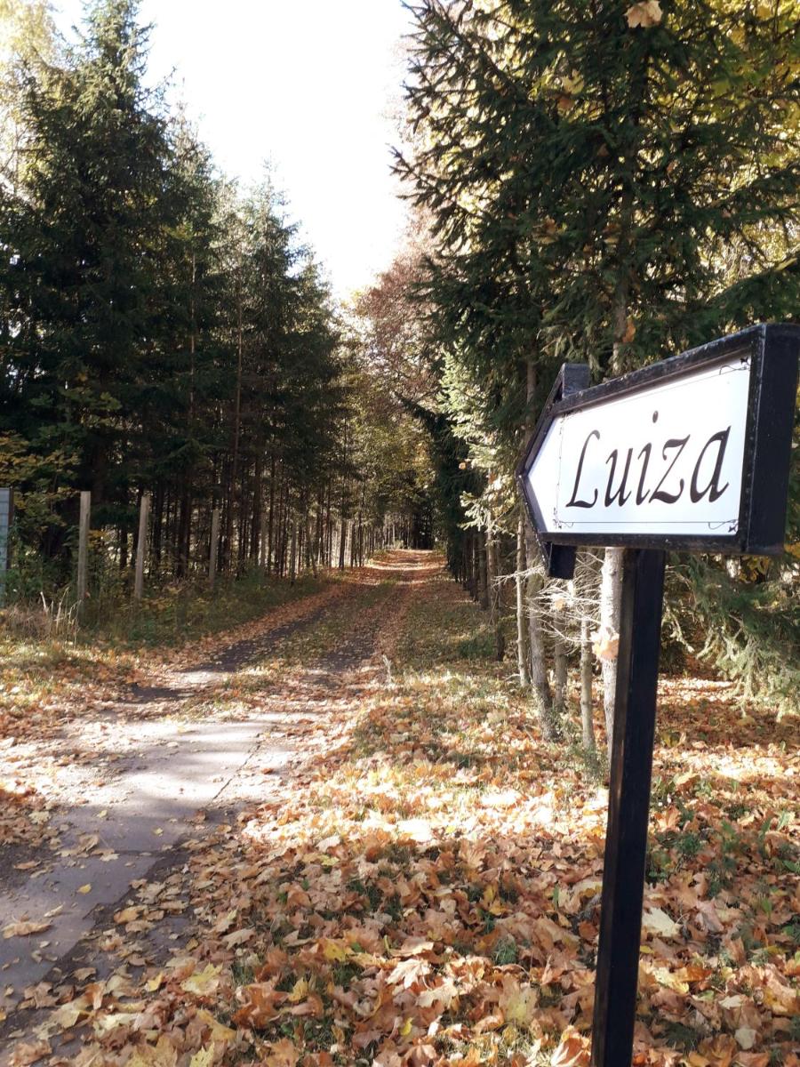 Photo 41
