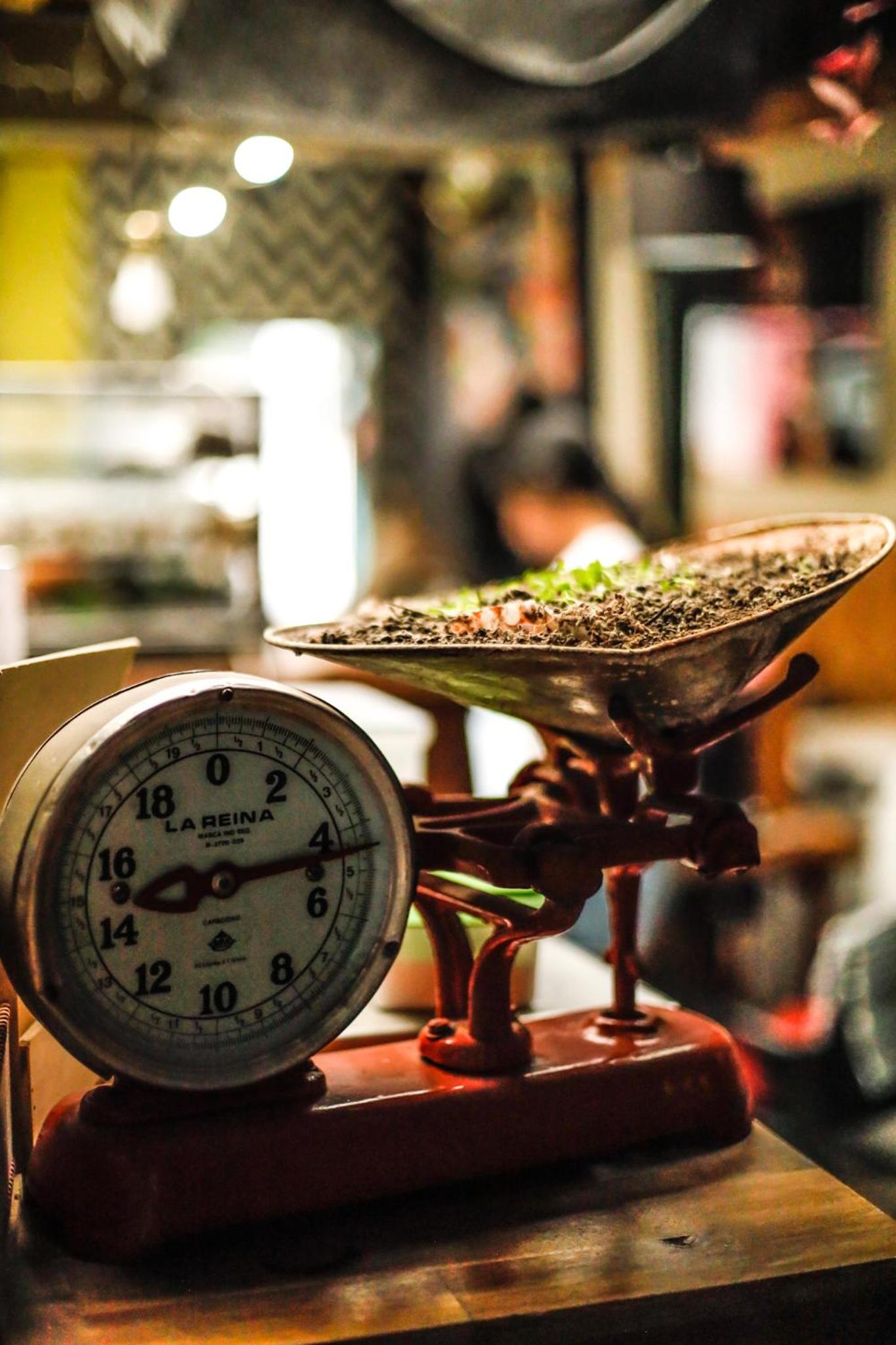 Panela Coffee Hostel