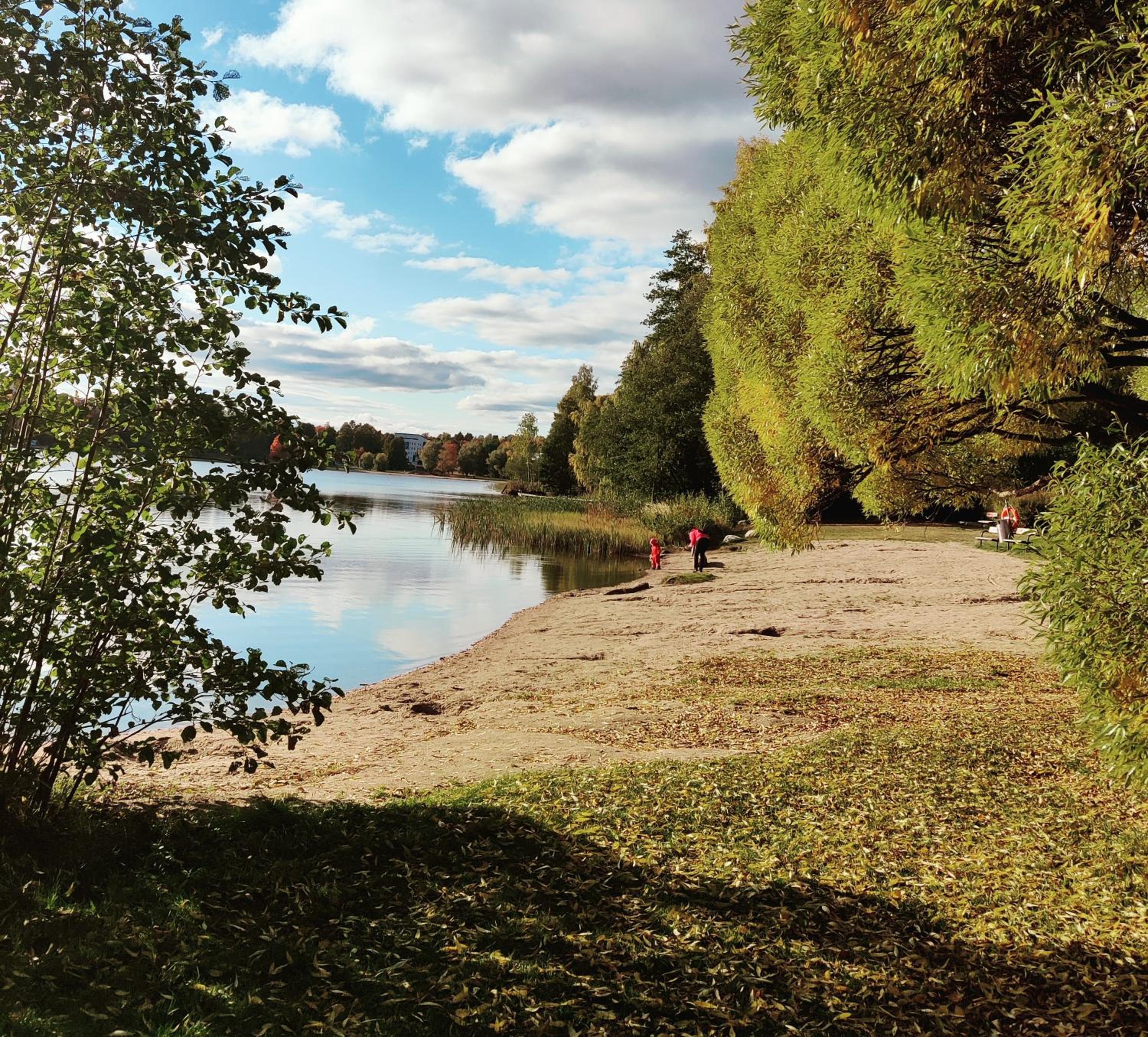 Joutjärven Studio Apartment
