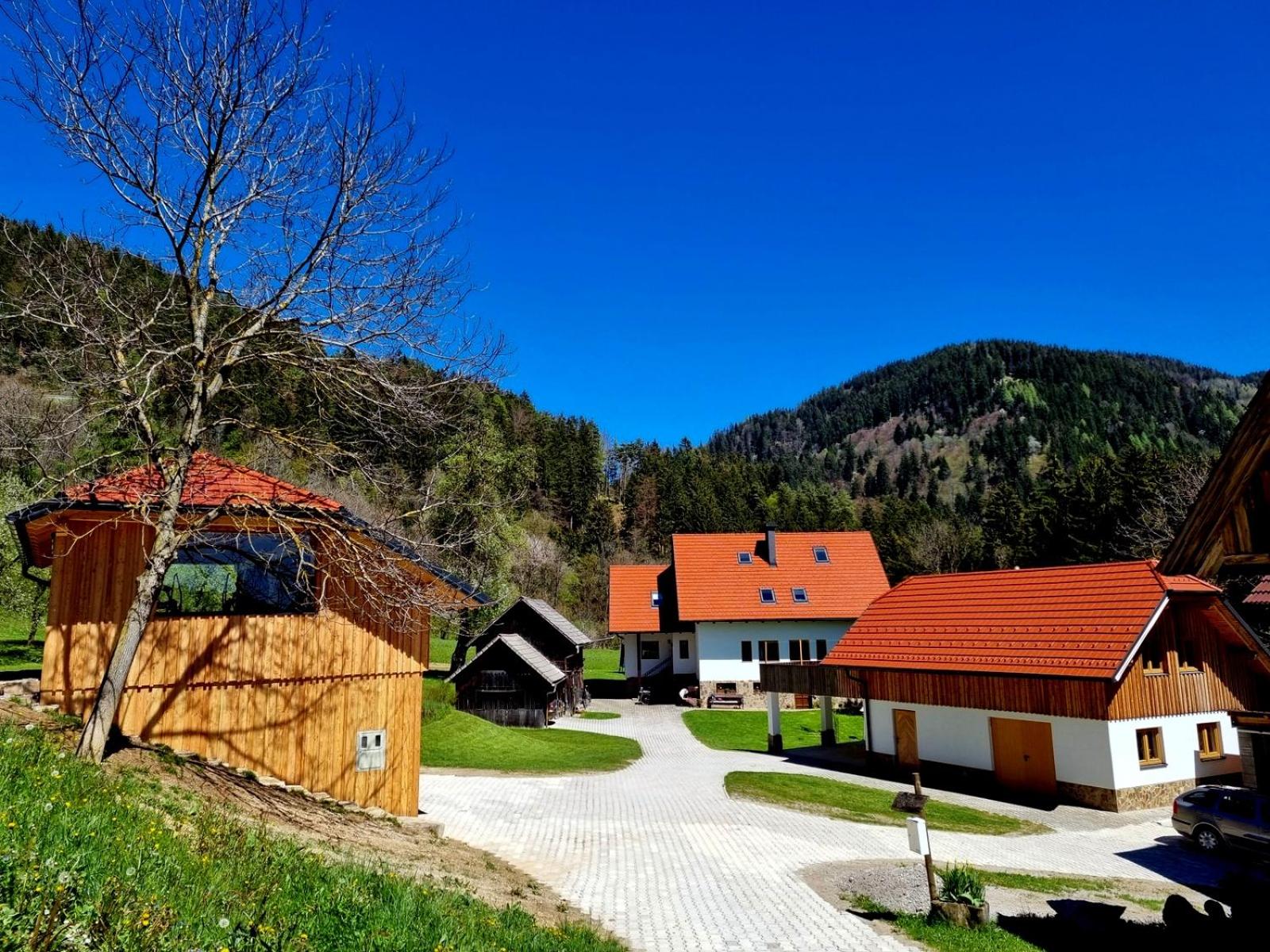 Apartma1 pri Adamu