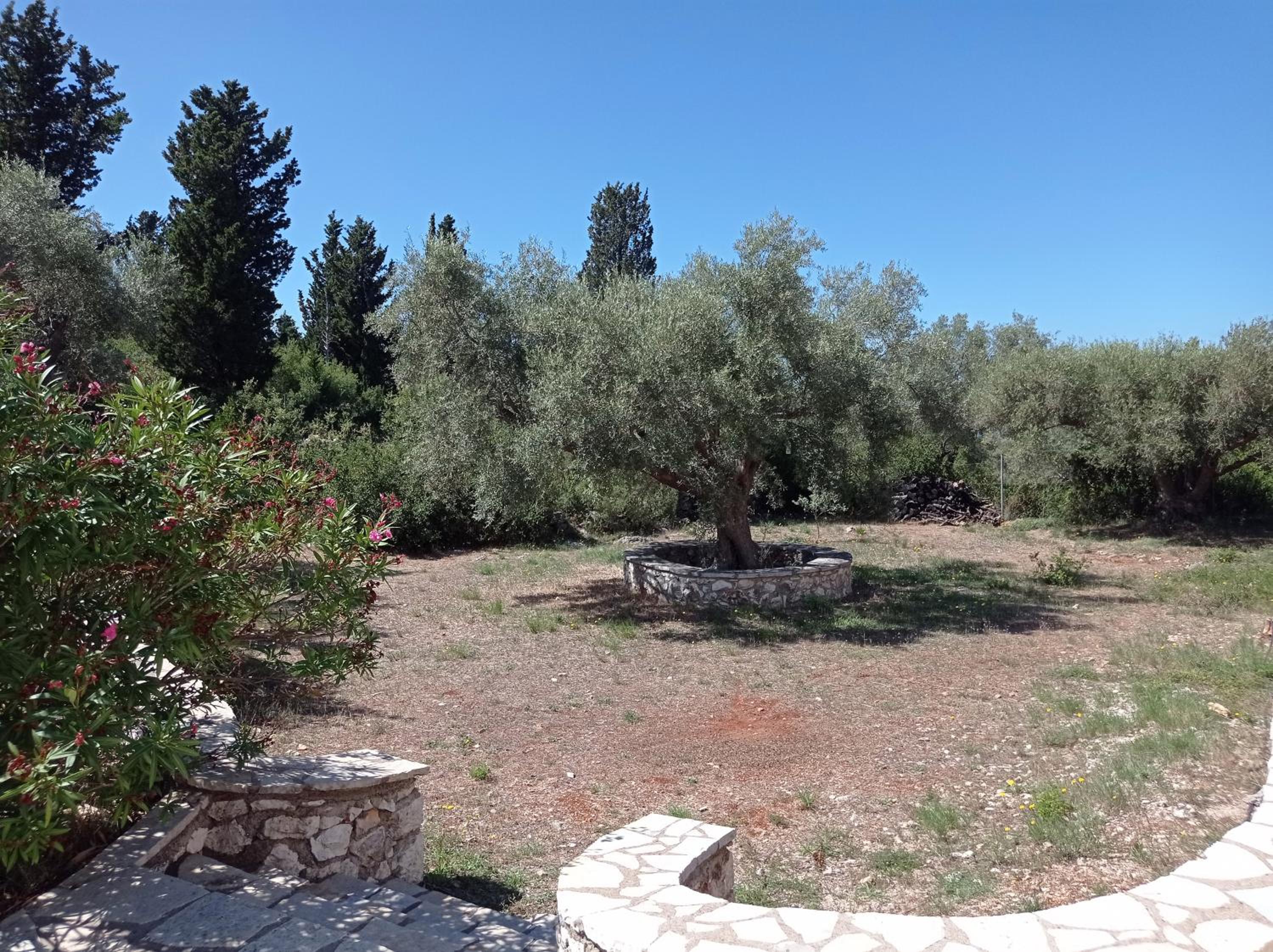 Photo 28