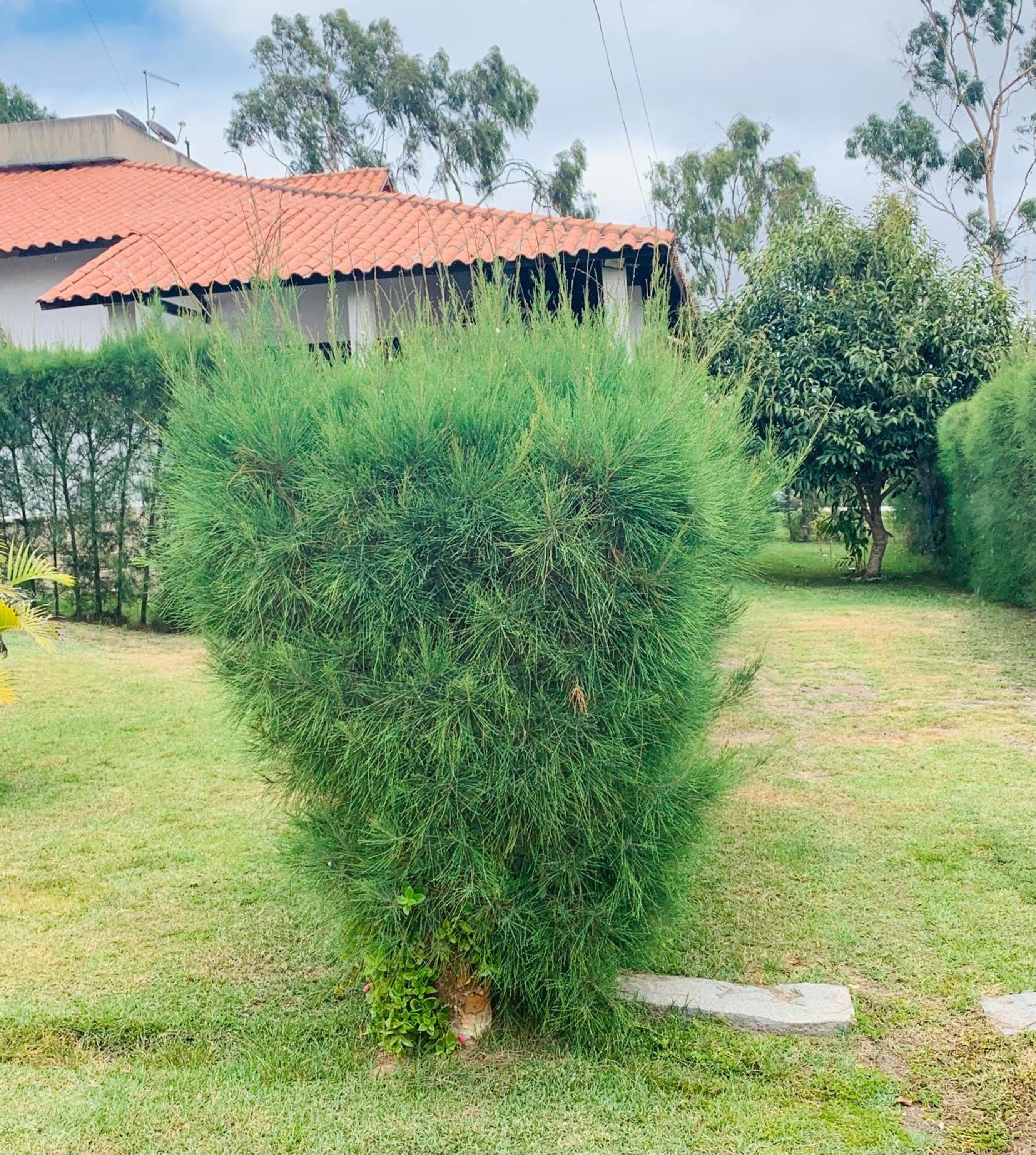 Bangalô Charmoso em Gravatá