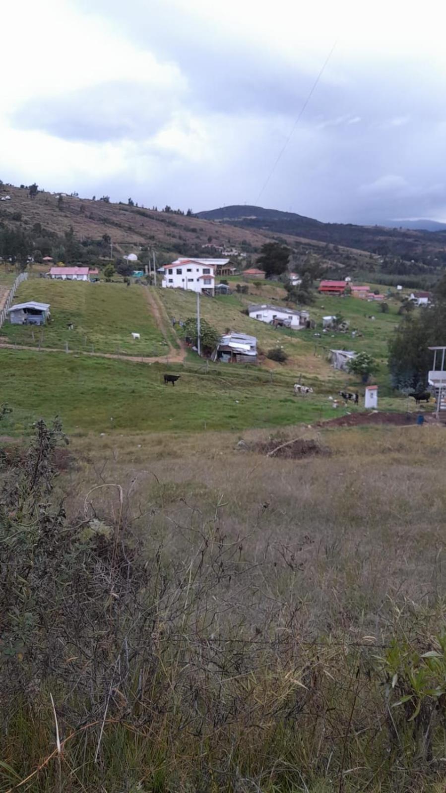Cabañas Casa Campo Guatavita
