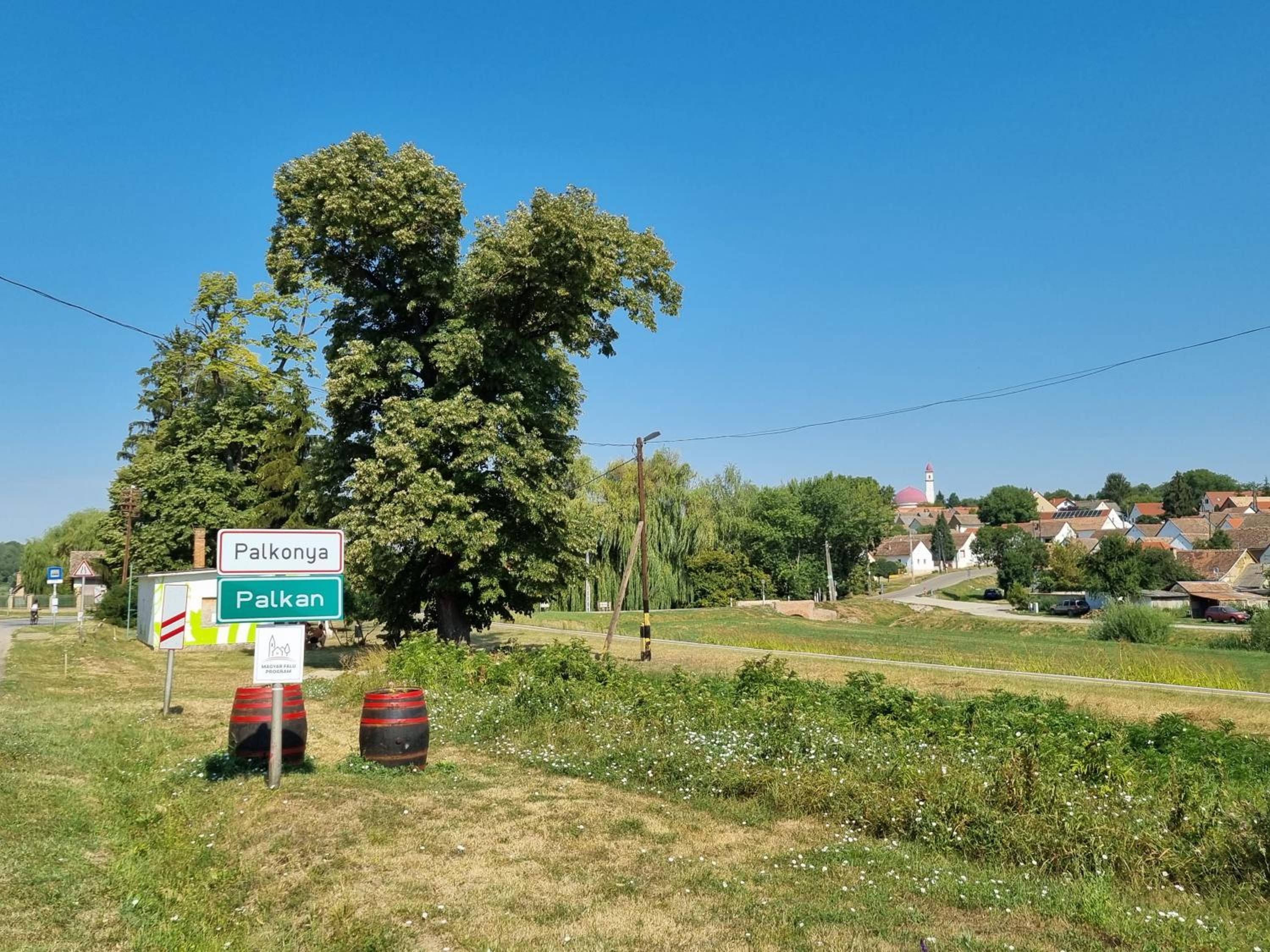 Photo 23
