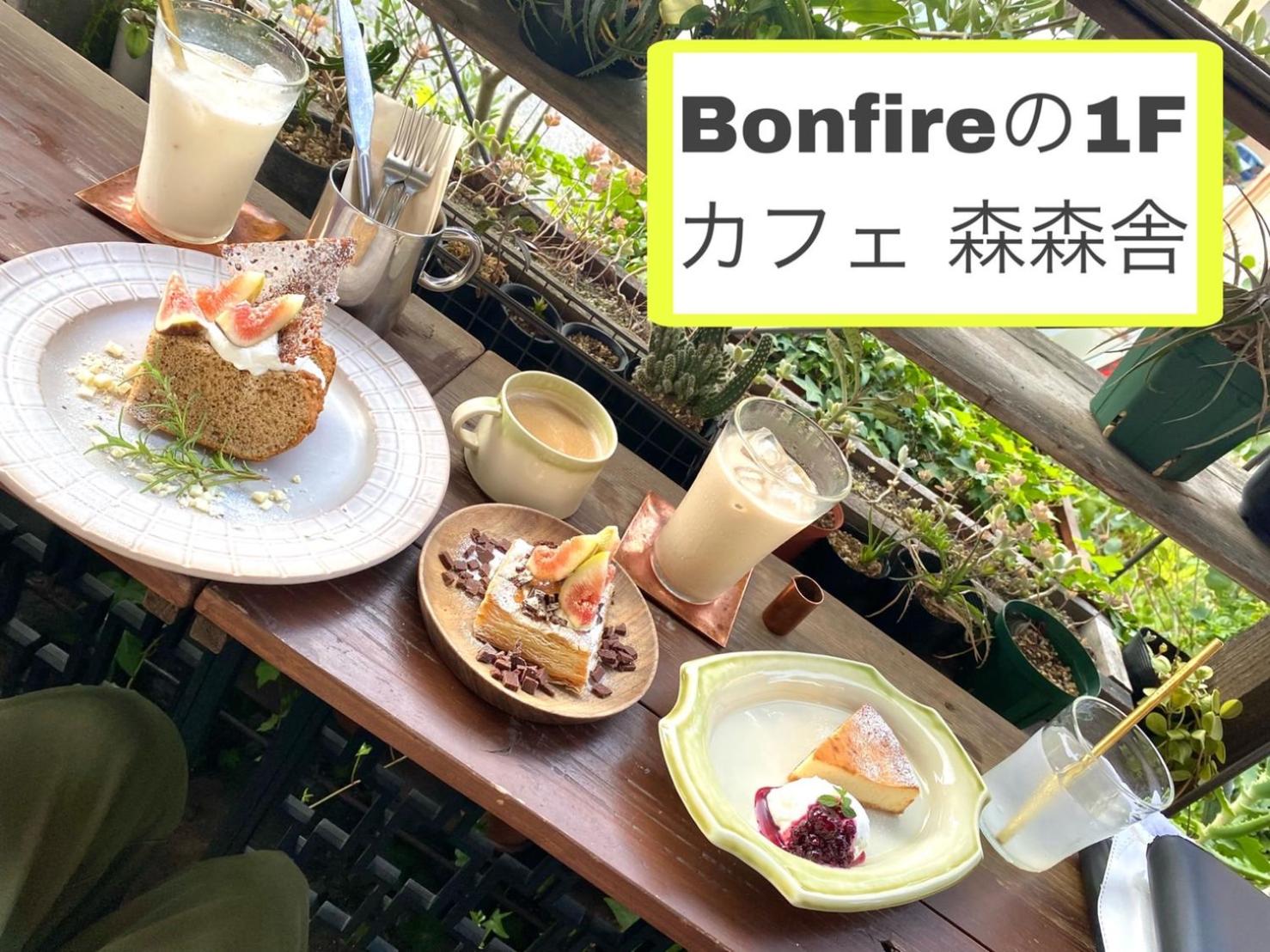 Bonfire Hostel Osaka — Osaka