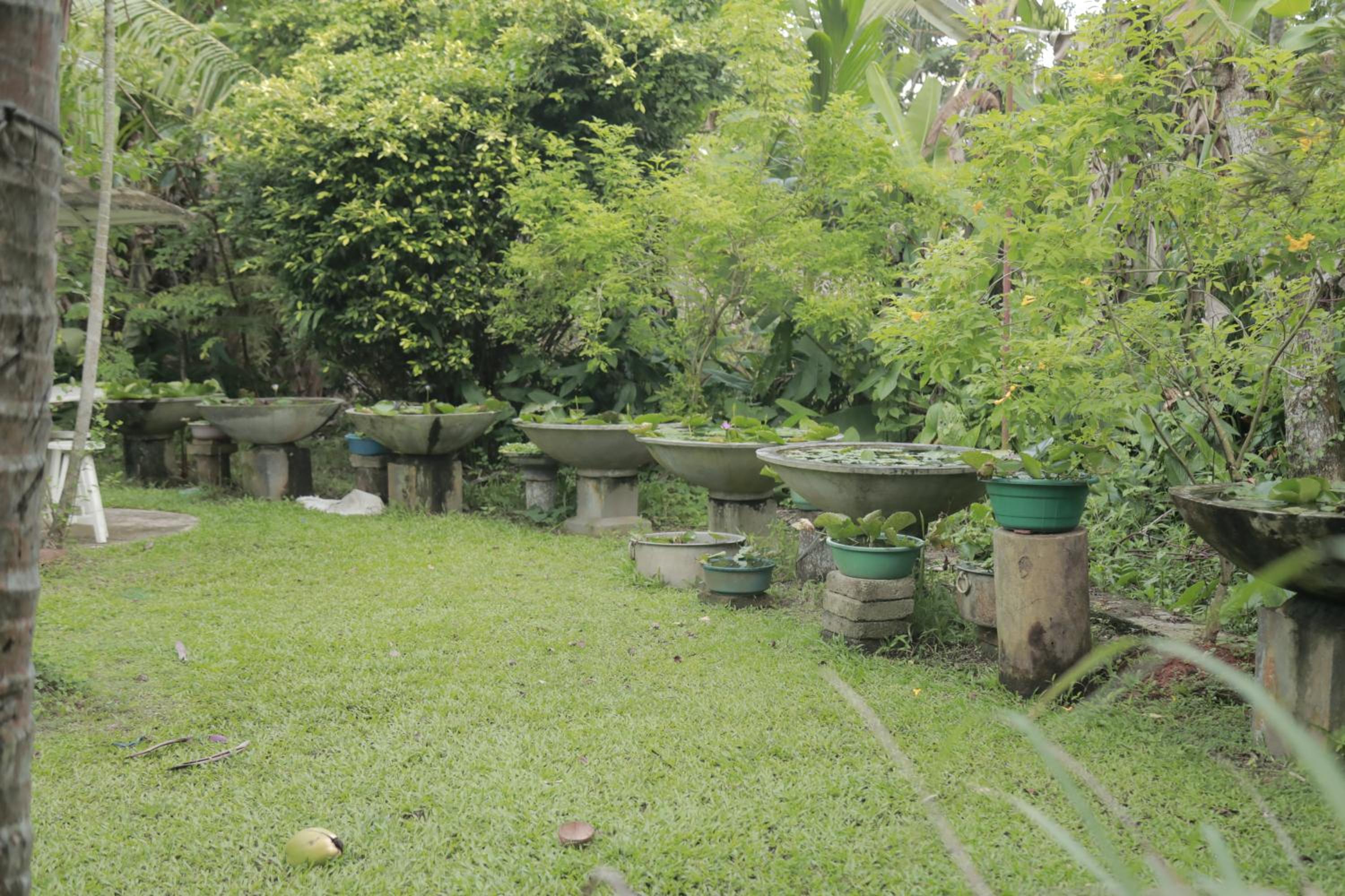 Photo 31