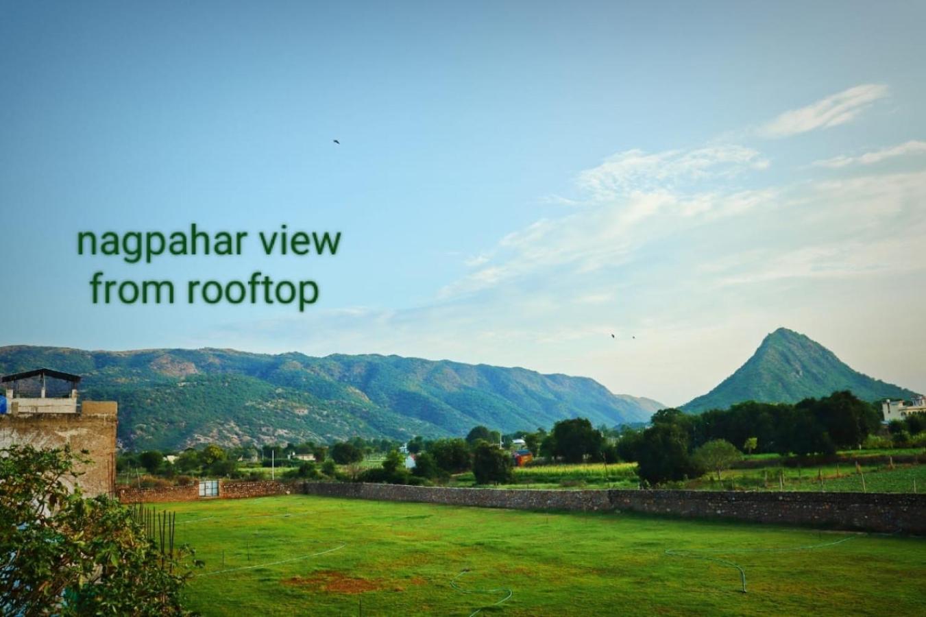 roof