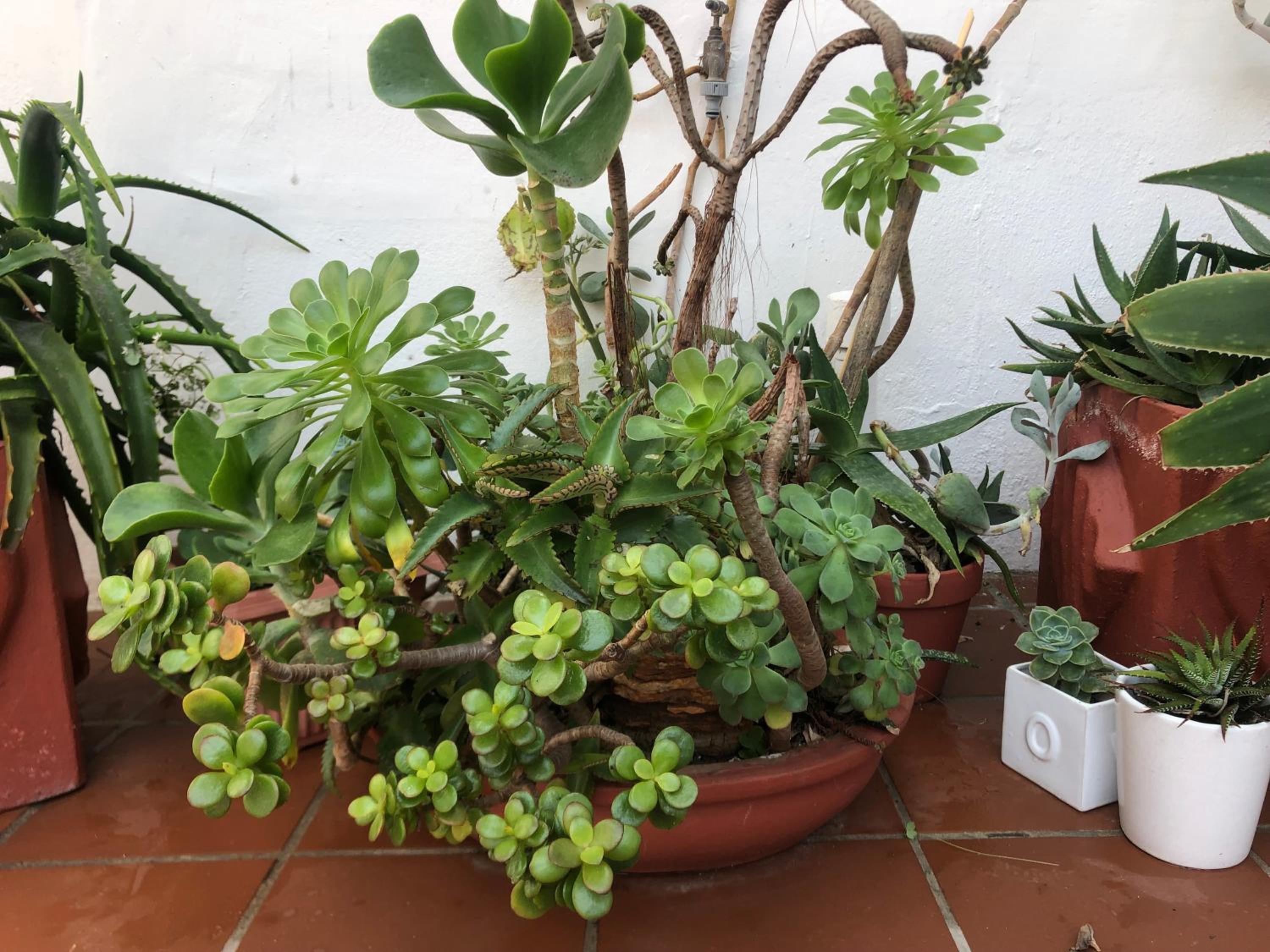 BlueSky Arniston Boutique Guesthouse