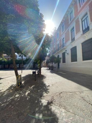 EL RINCON DE ELENA (CASCO HISTORICO) view 5
