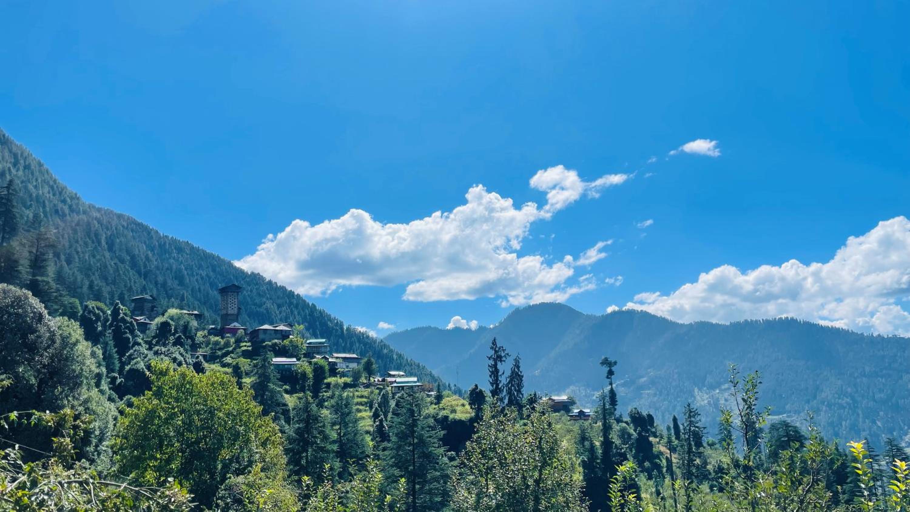 MOZO Inn&Cafe Jibhi view 3