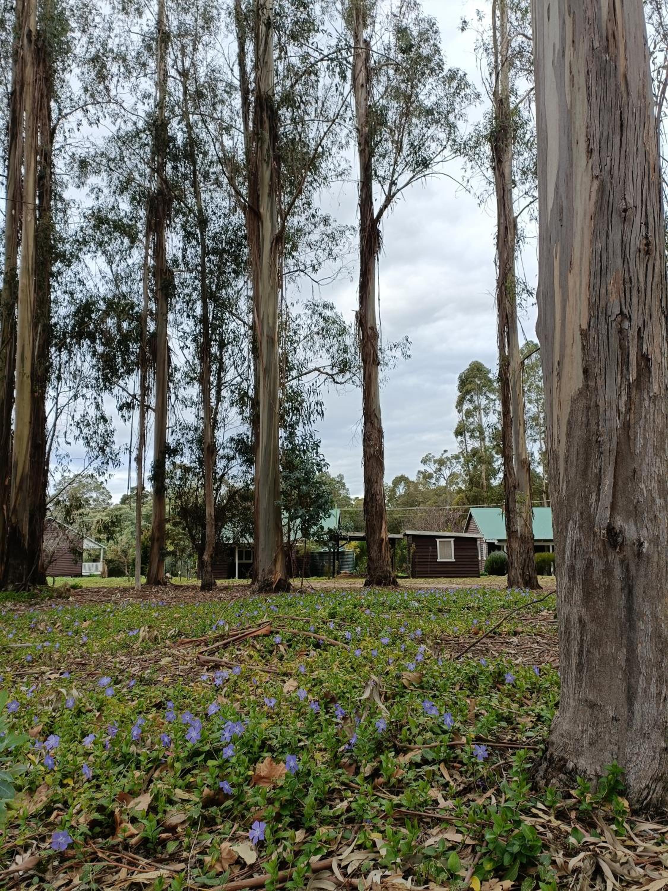 Two Brothers' Cabin