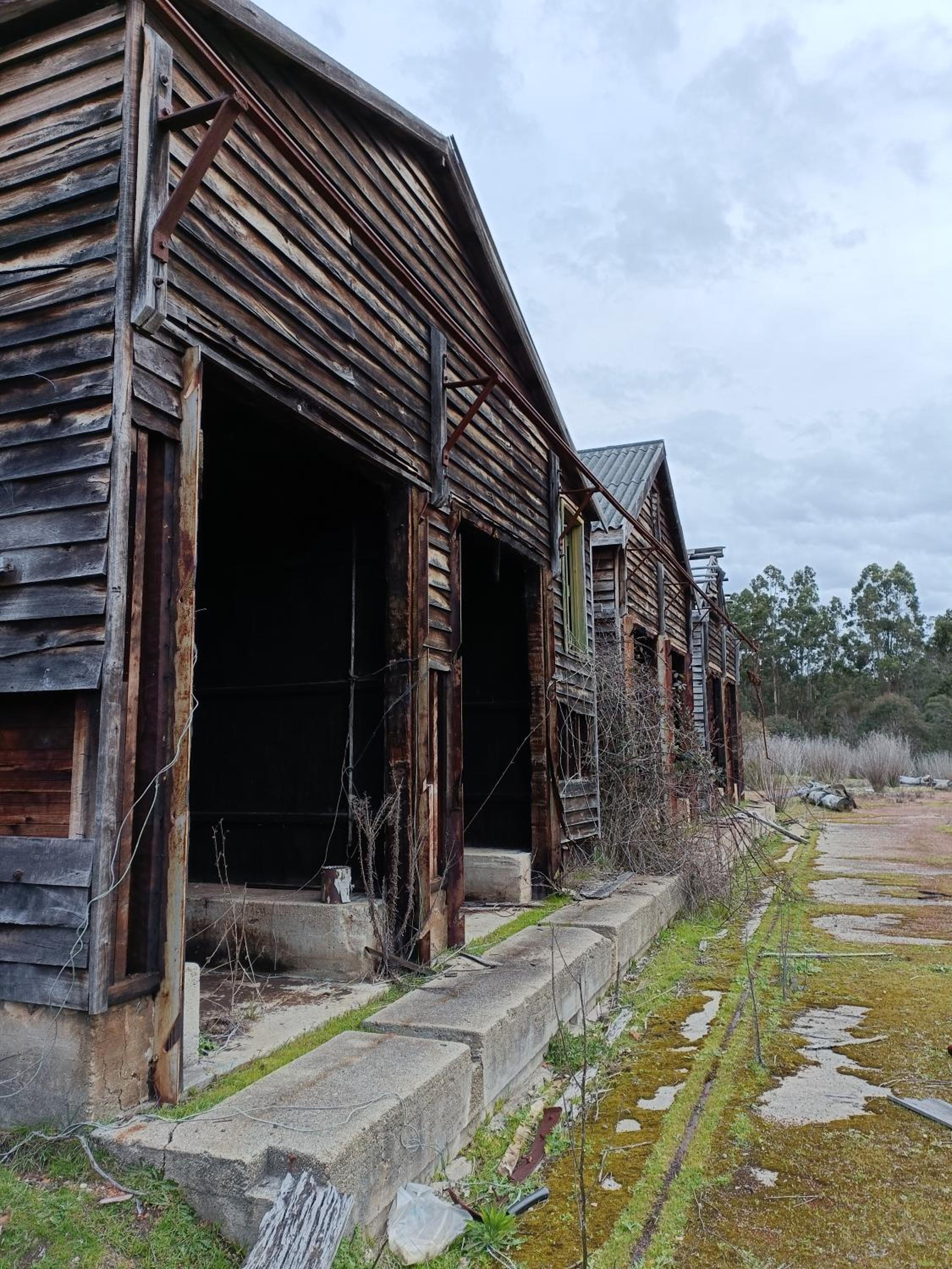 Two Brothers' Cabin