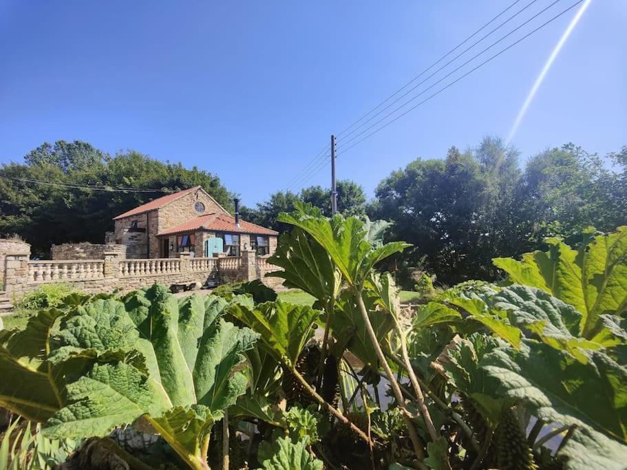 Stunning 2 Bedroom Guest House with Hot Tub view 3