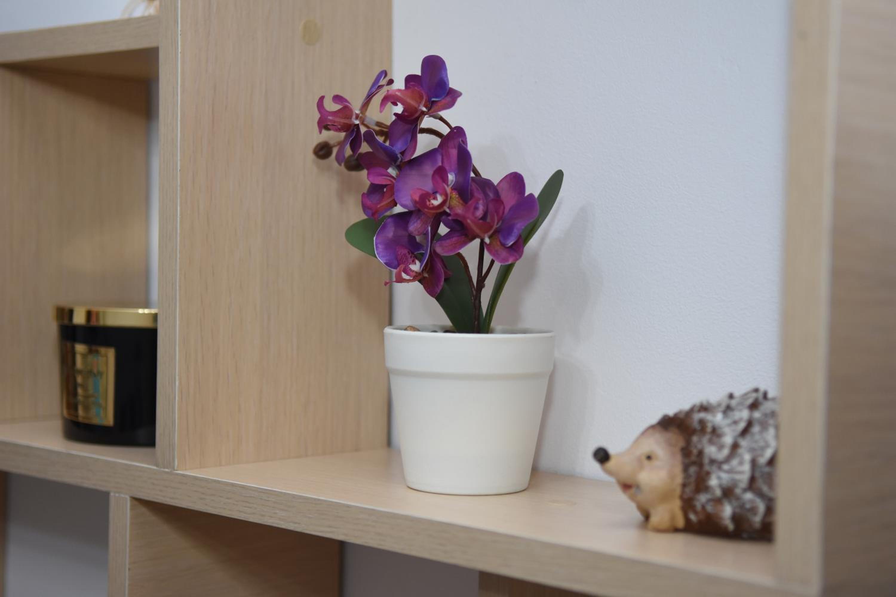 1st Apartment