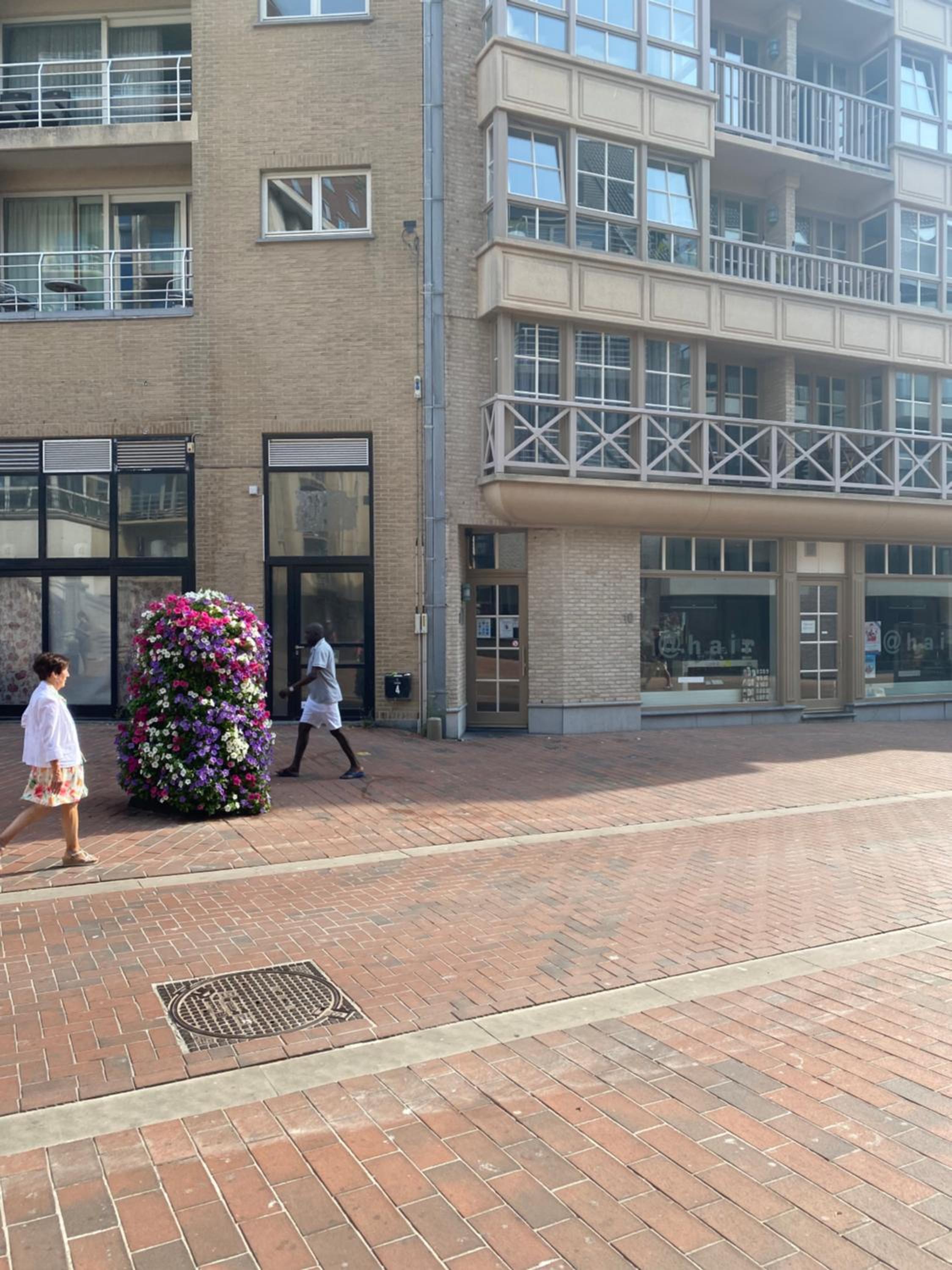 Appartement Blankenberge Zeedijk - Frontaal zeezicht