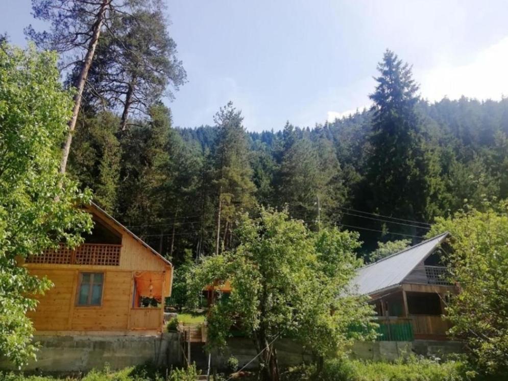 Guest House Ilia view 2
