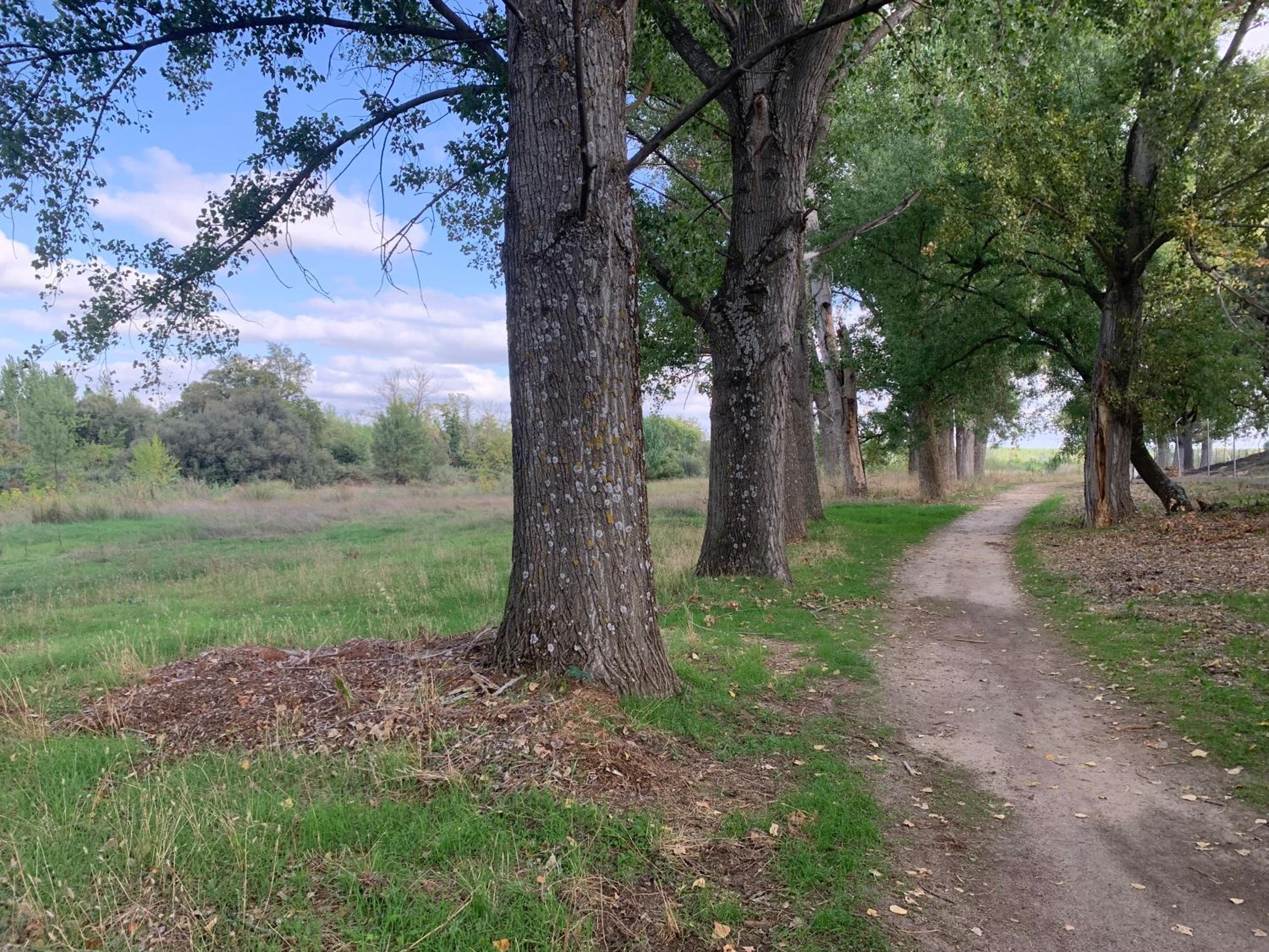 JARAMUNDI