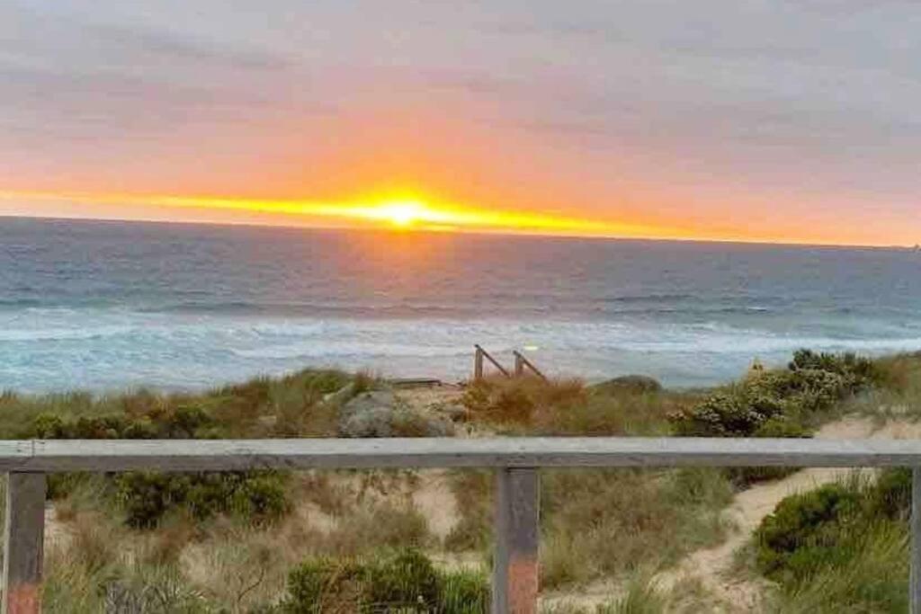 Racing Penguin Surf Grand Prix Walk Phillip Island