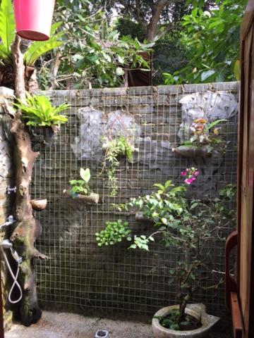 Sepilok Forest Edge Resort