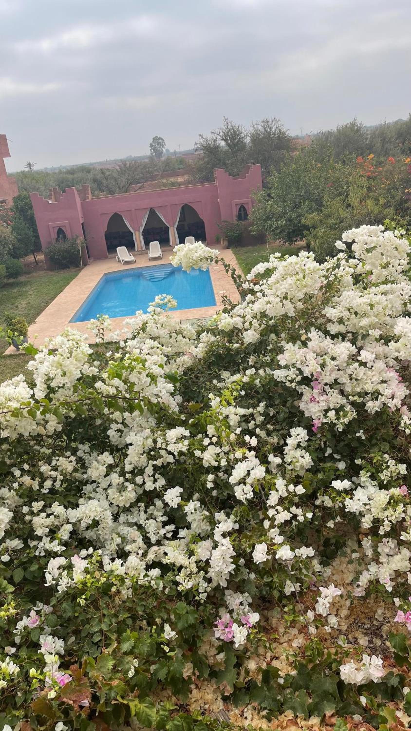 Nour El Ilham - villa luxe - PoolHouse - jardin - 6ch view 3