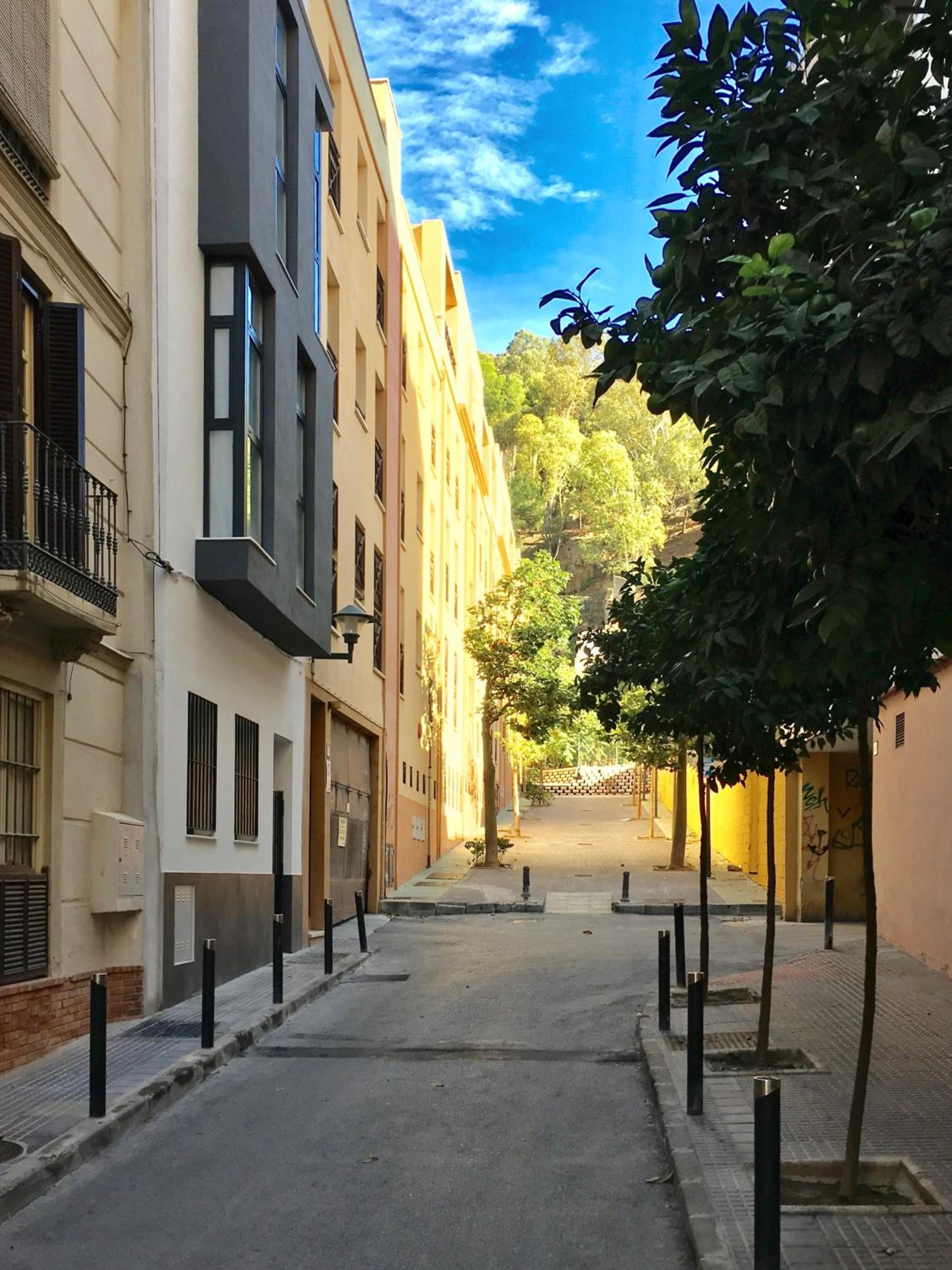 Centro Picacho