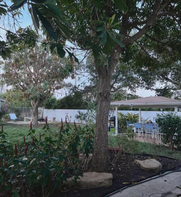 Beautiful Main House in West Palm Beach