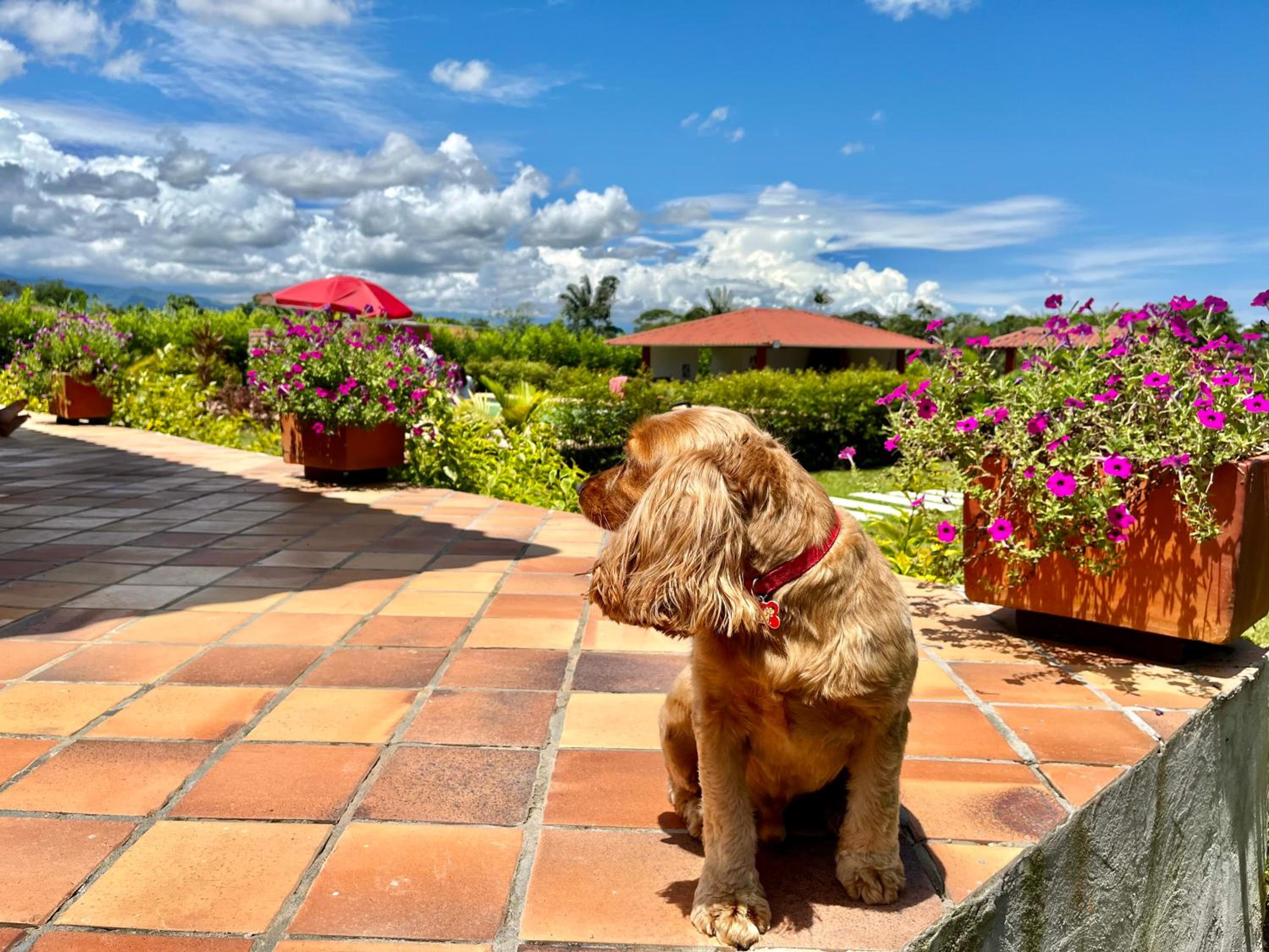 Casa Campestre Denis