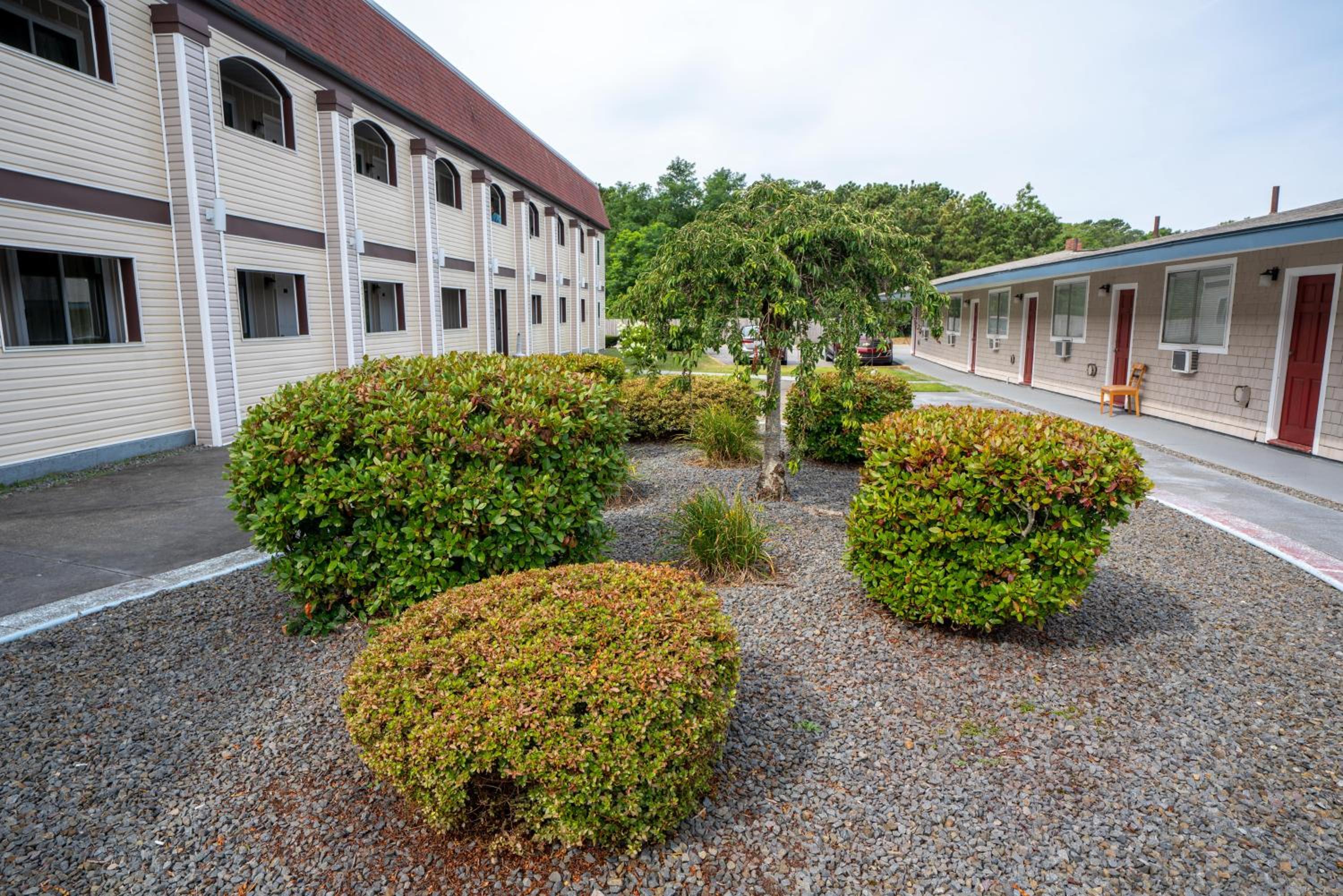 All Seasons Inn & Suites view 4