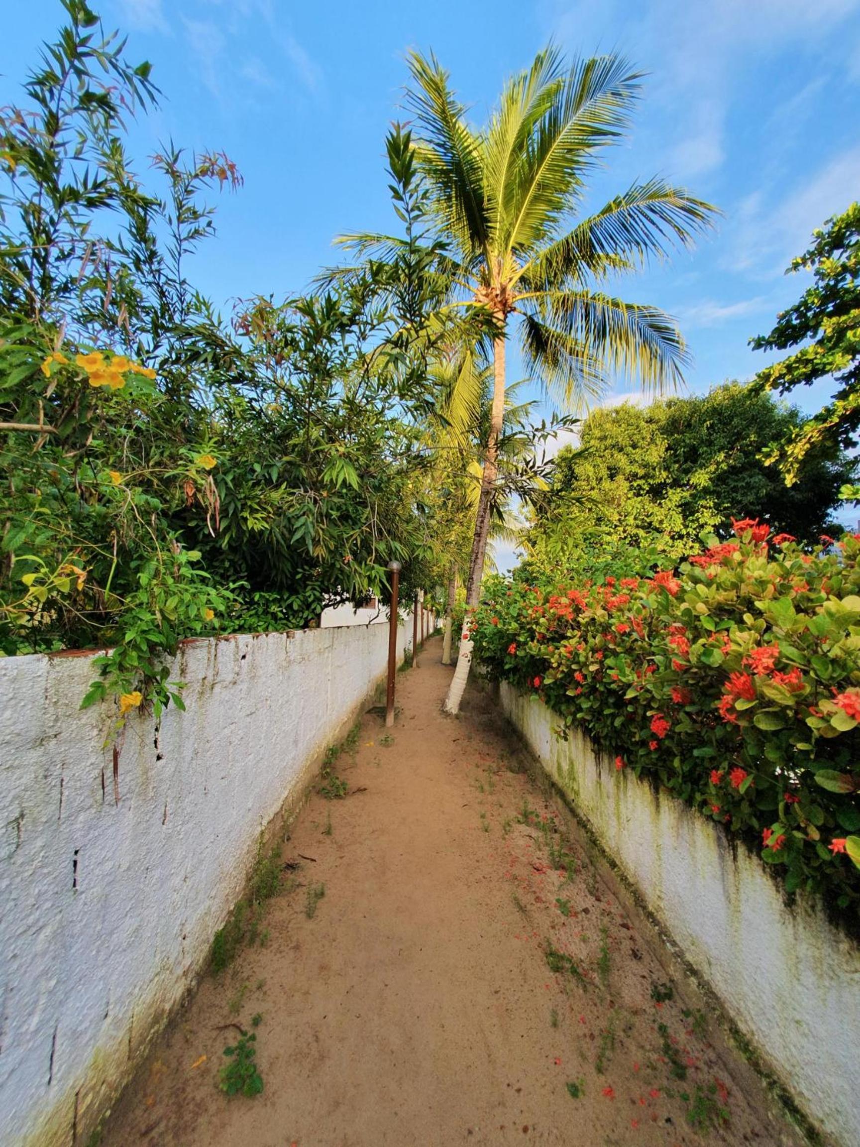 Antunes vila maragogi