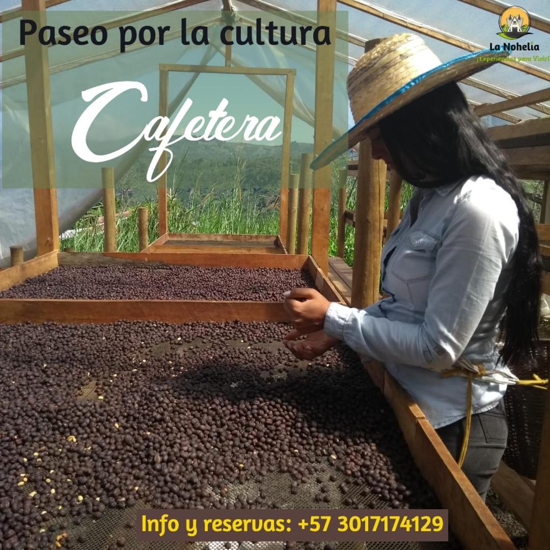 Chalet Ecoturismo La Nohelia