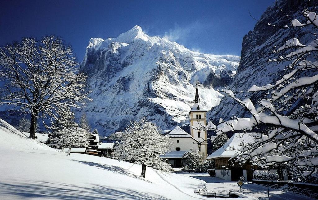 Wengen Ski Cup Lauberhorn flat available