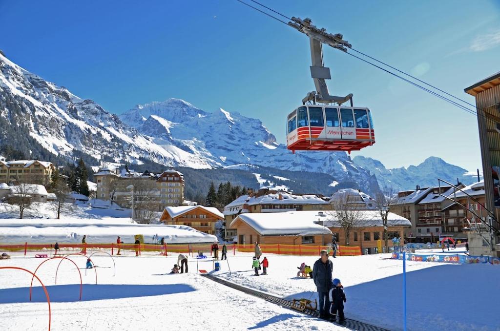 Wengen Ski Cup Lauberhorn flat available