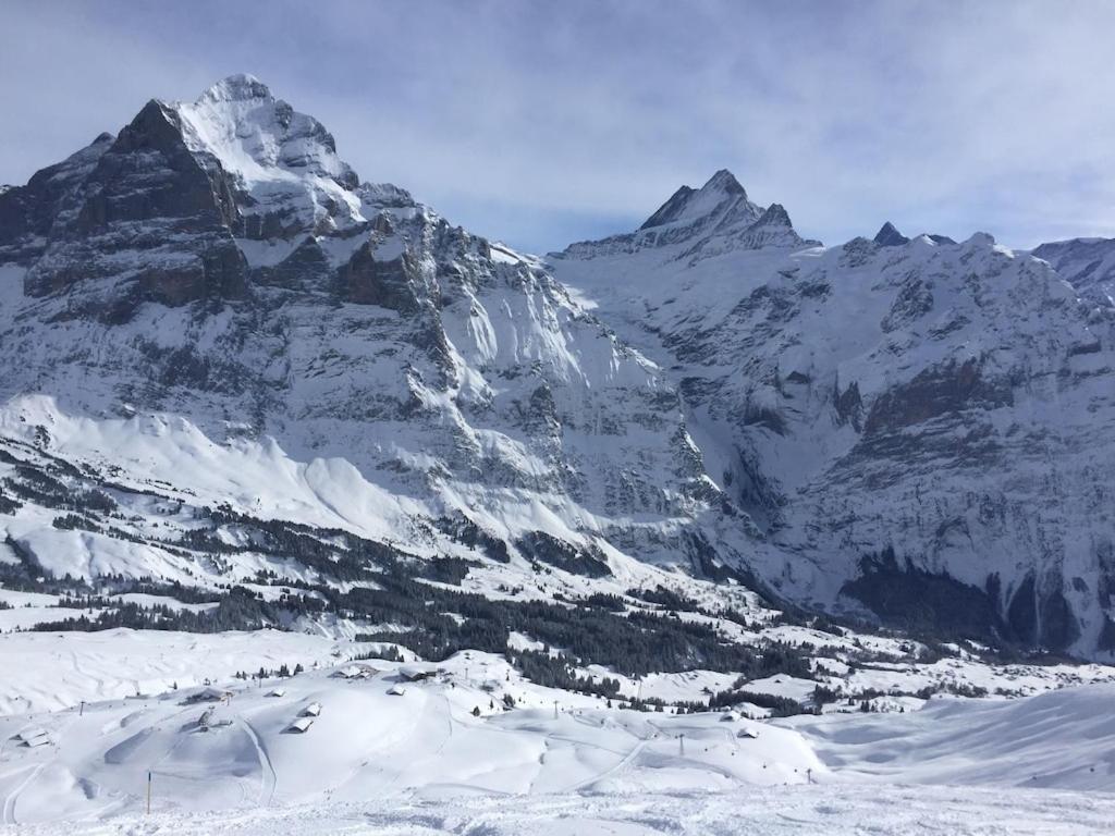 Wengen Ski Cup Lauberhorn flat available