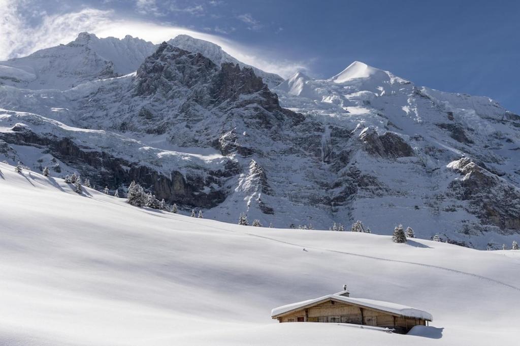 Wengen Ski Cup Lauberhorn flat available