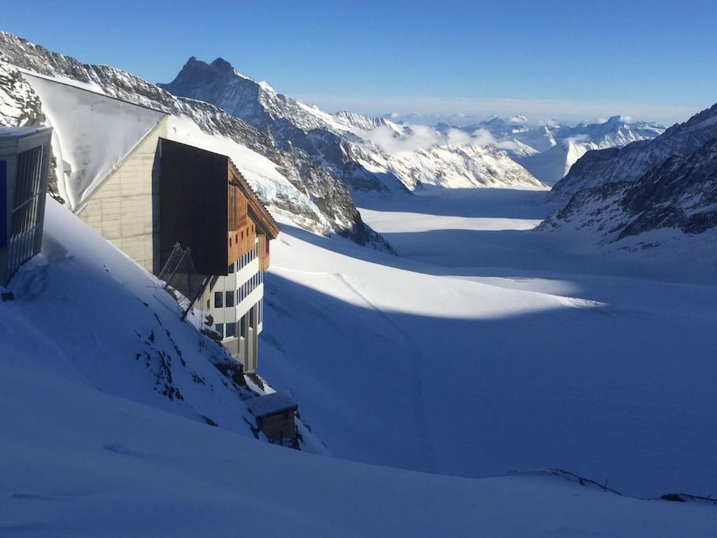 Wengen Ski Cup Lauberhorn flat available