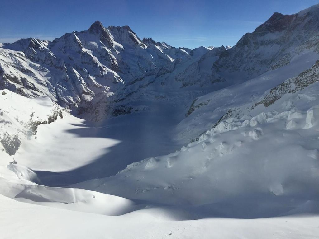 Wengen Ski Cup Lauberhorn flat available