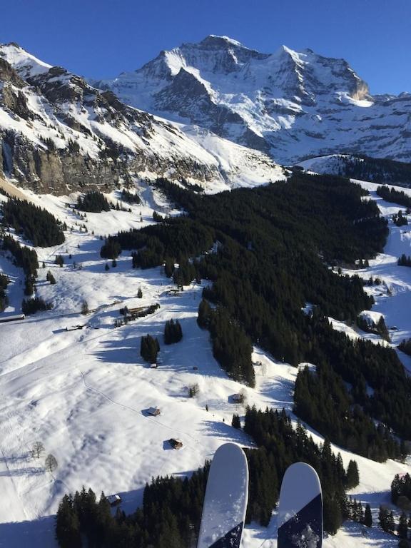 Wengen Ski Cup Lauberhorn flat available