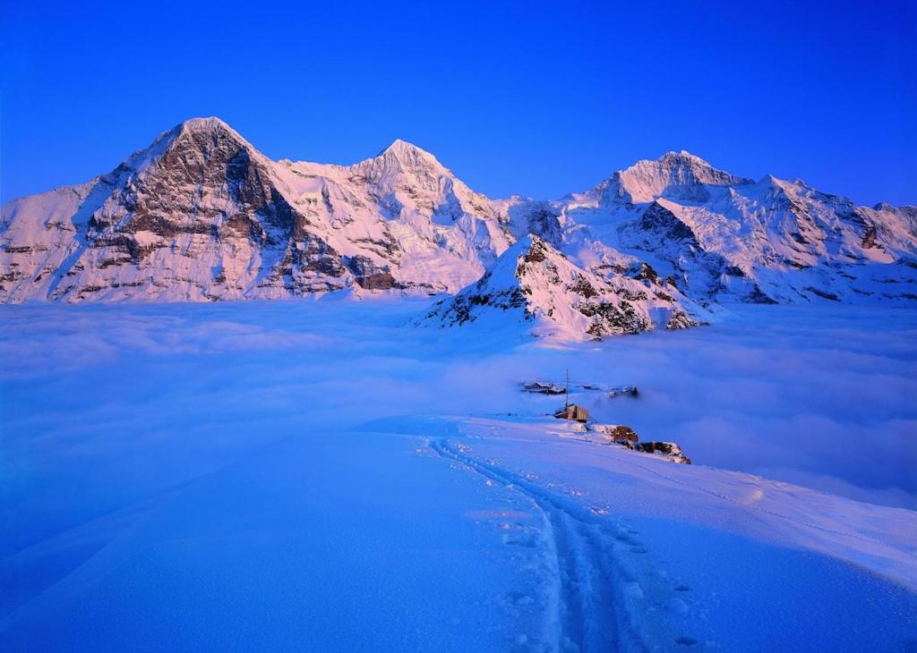 Wengen Ski Cup Lauberhorn flat available