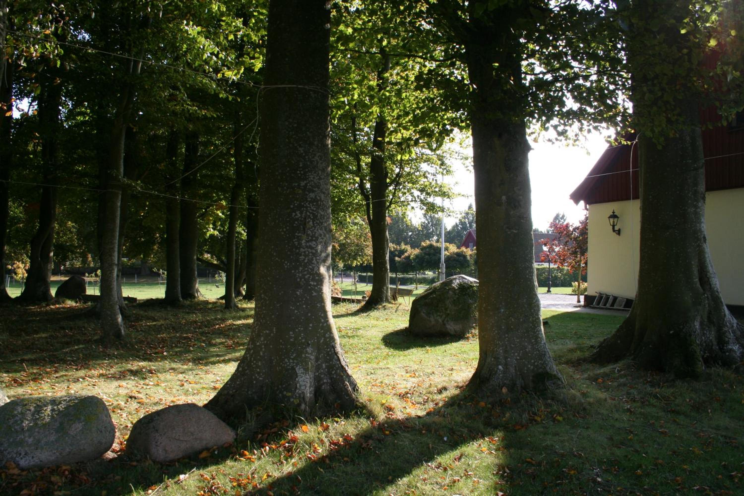 Photo 42