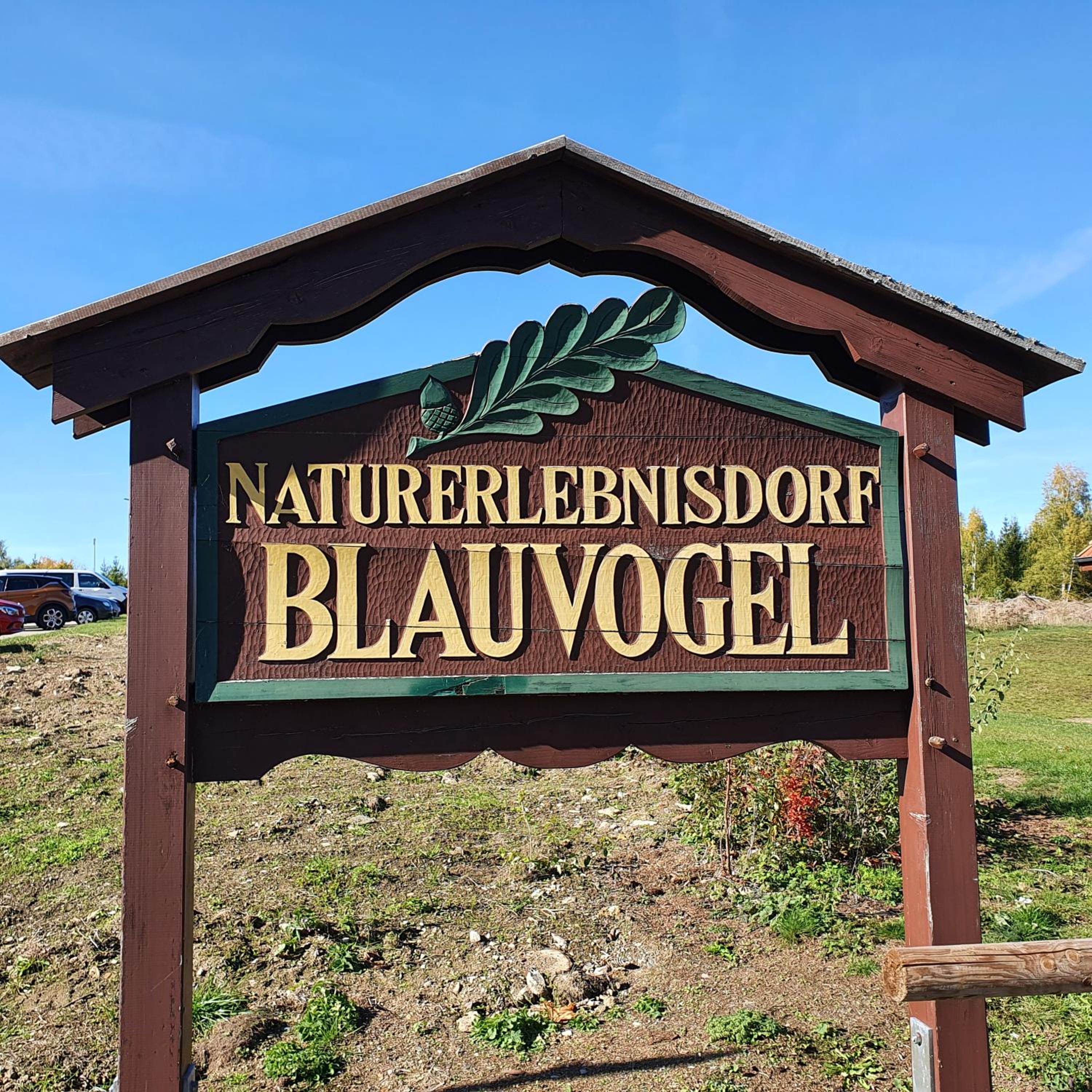 ****FH Blauvogel 60 Harz