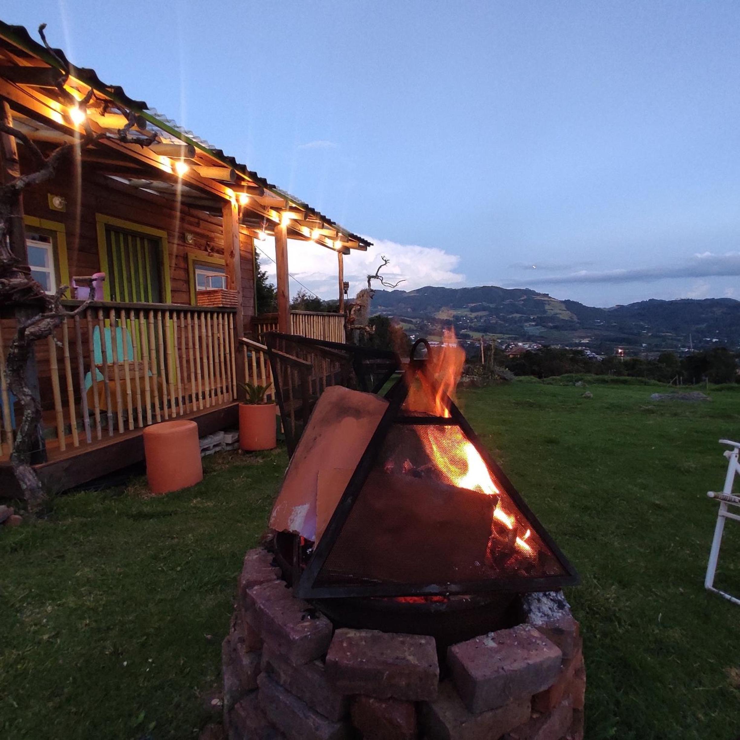 Wepa la Pepa Campestre