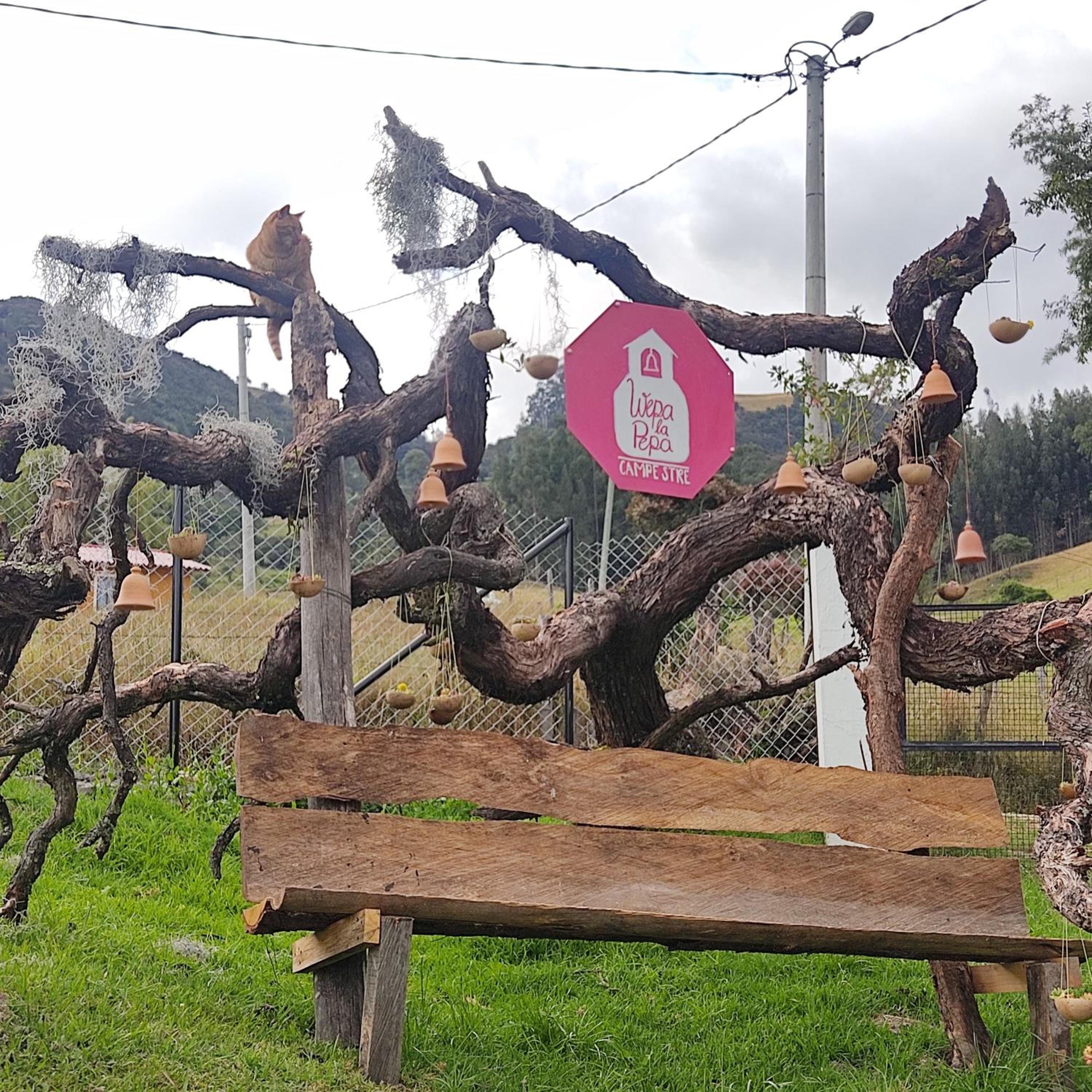 Wepa la Pepa Campestre