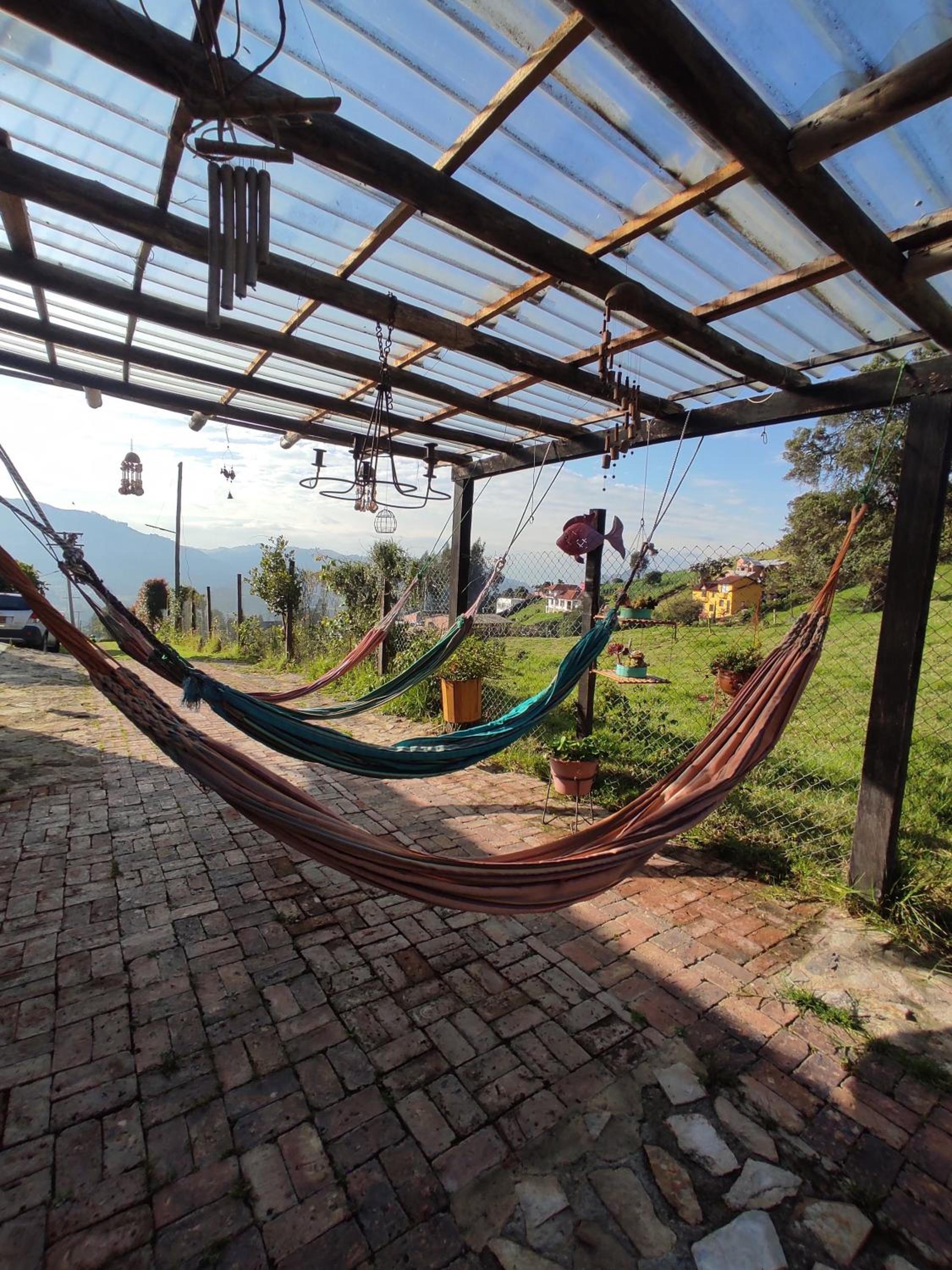 Wepa la Pepa Campestre