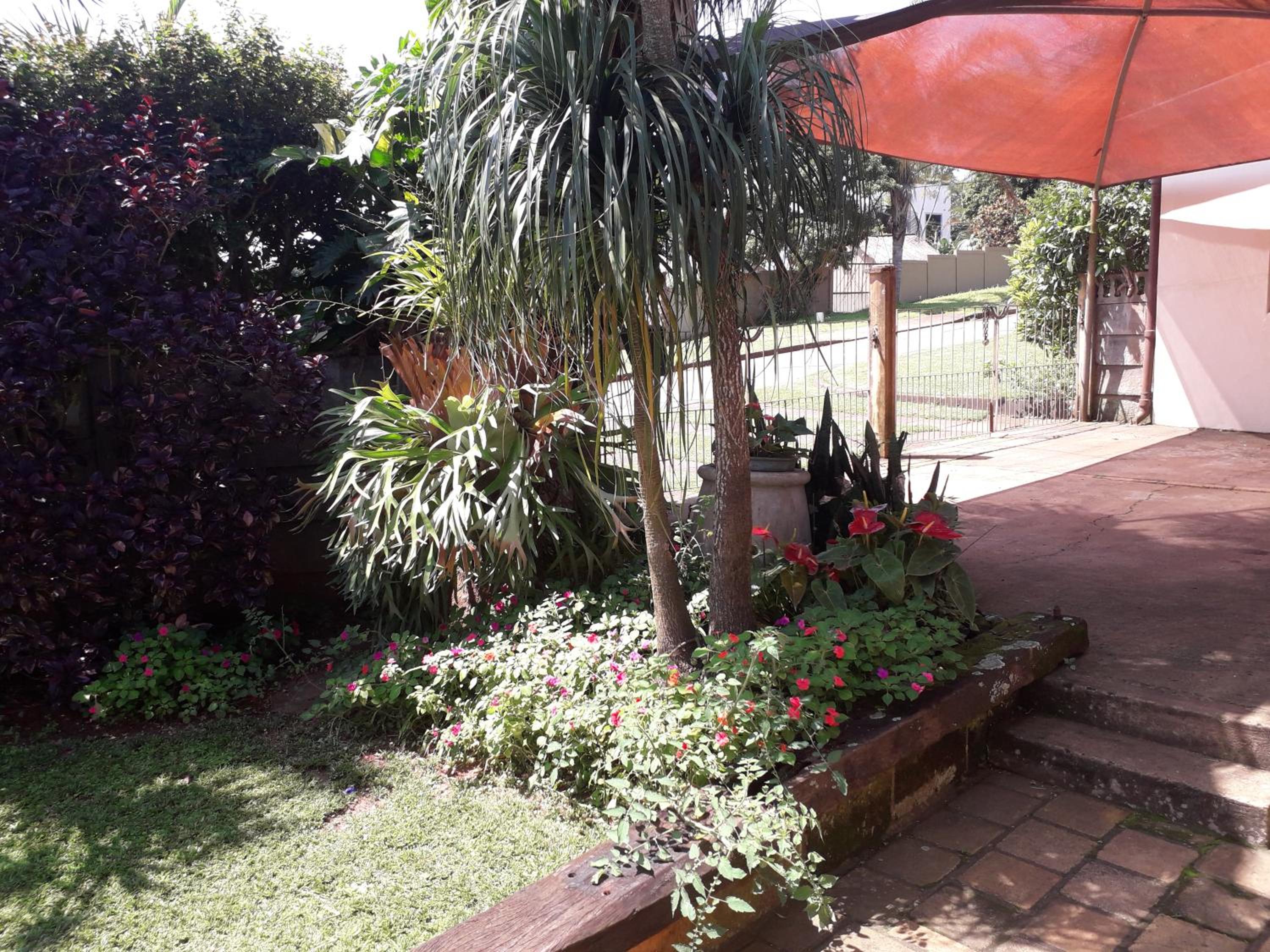 Birdcage B&B