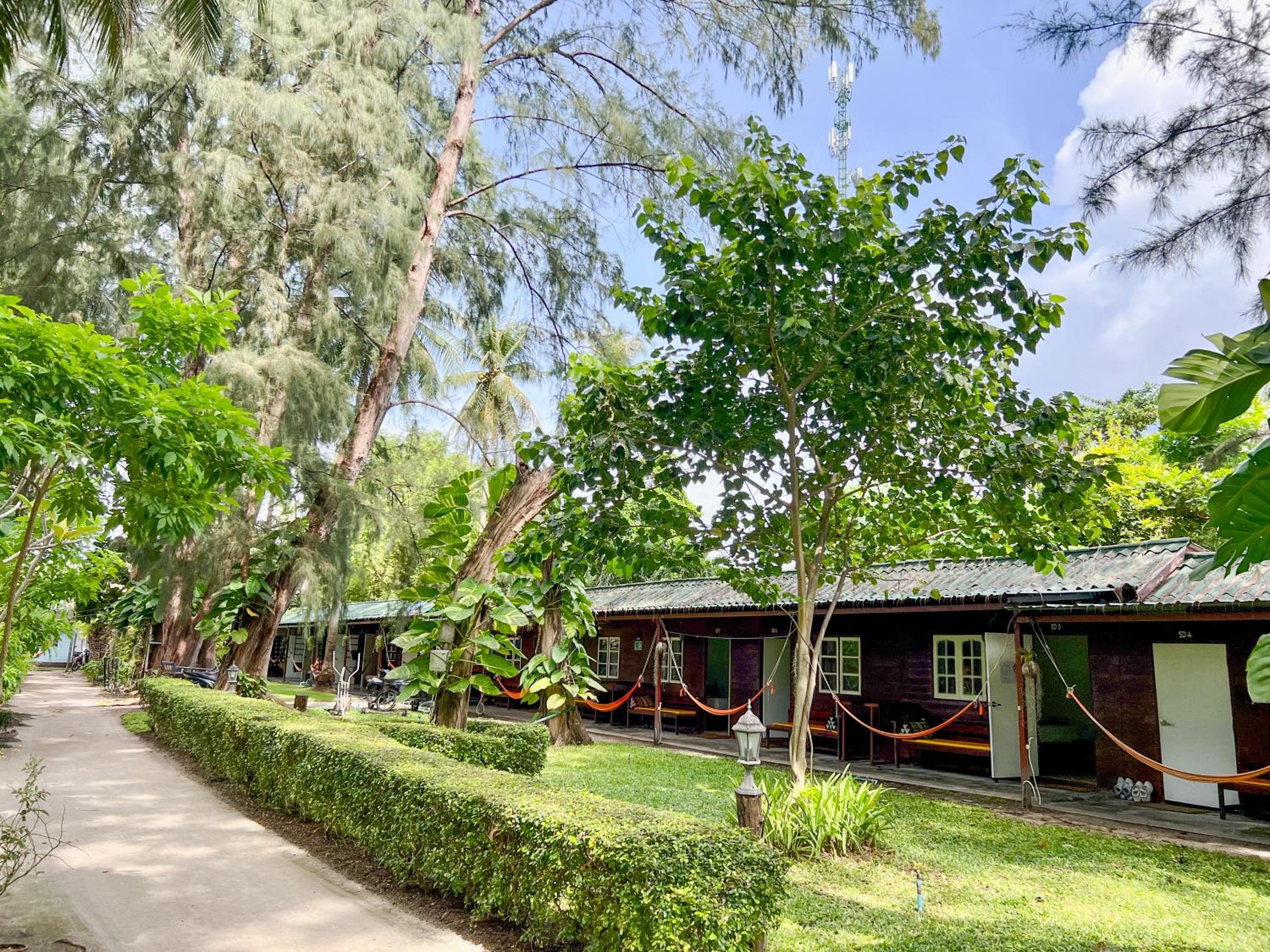 Photo 75