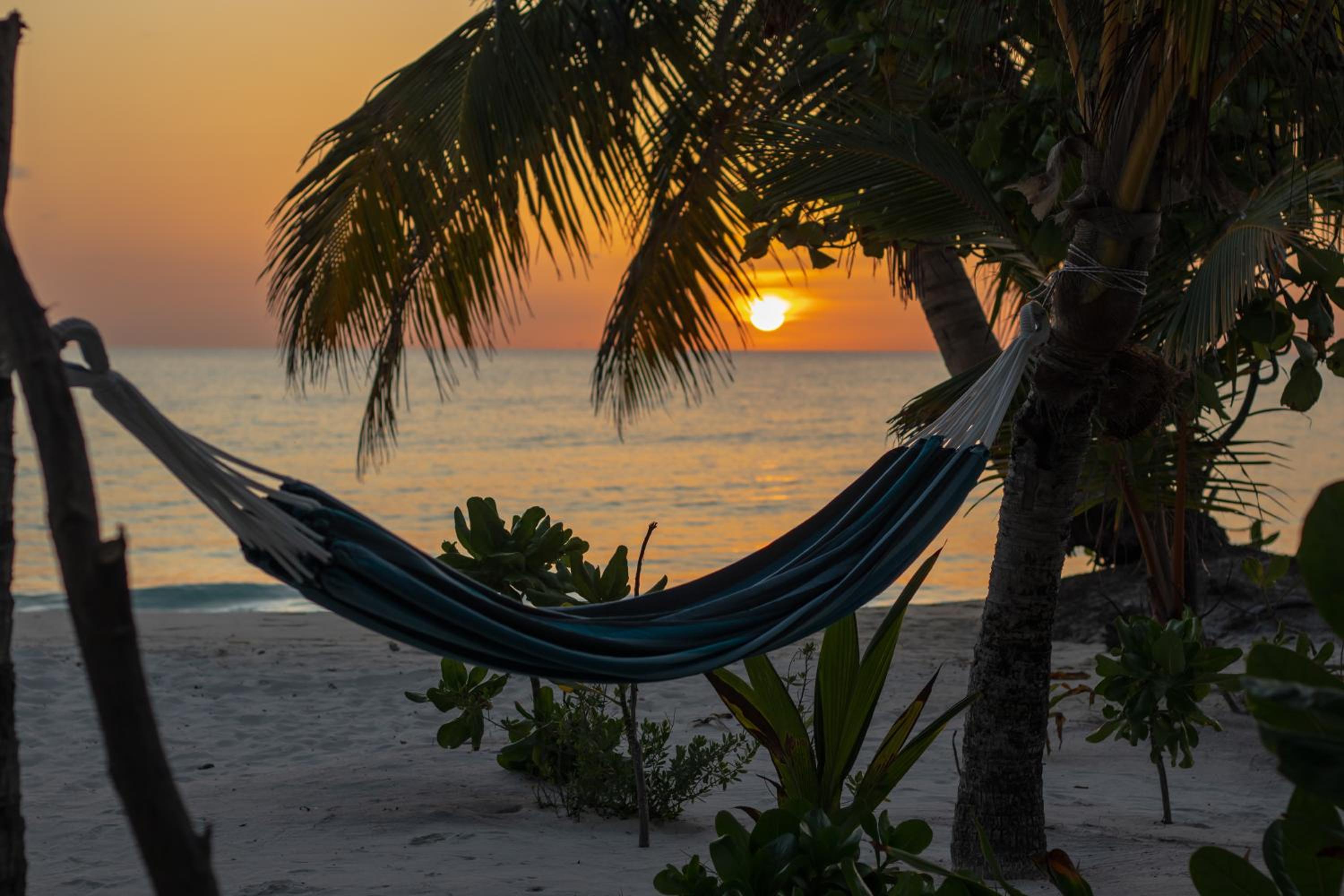 Clouds Beach Retreat Laamu Gan